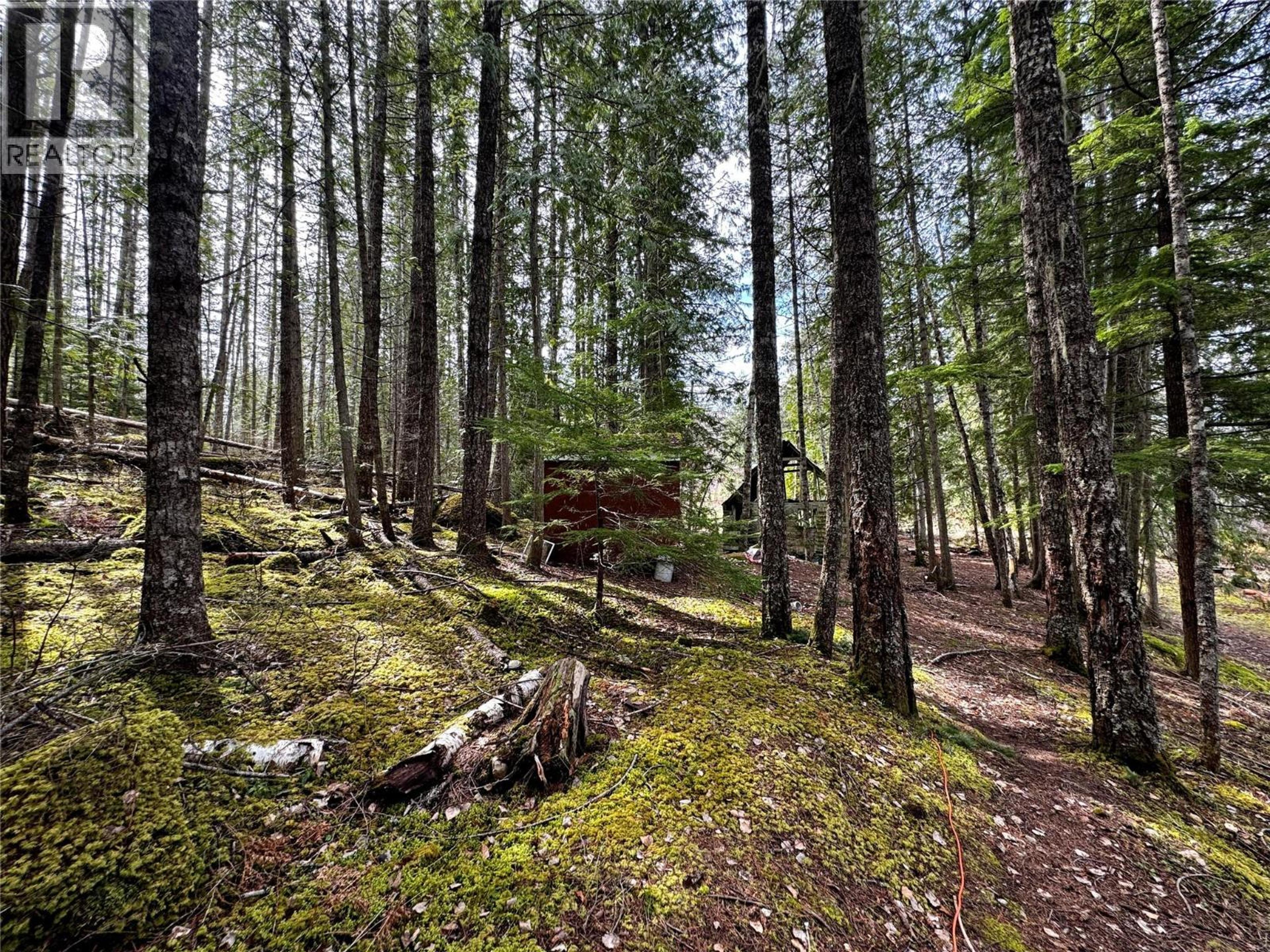 LOT 9 PETE MARTIN BAY - 32