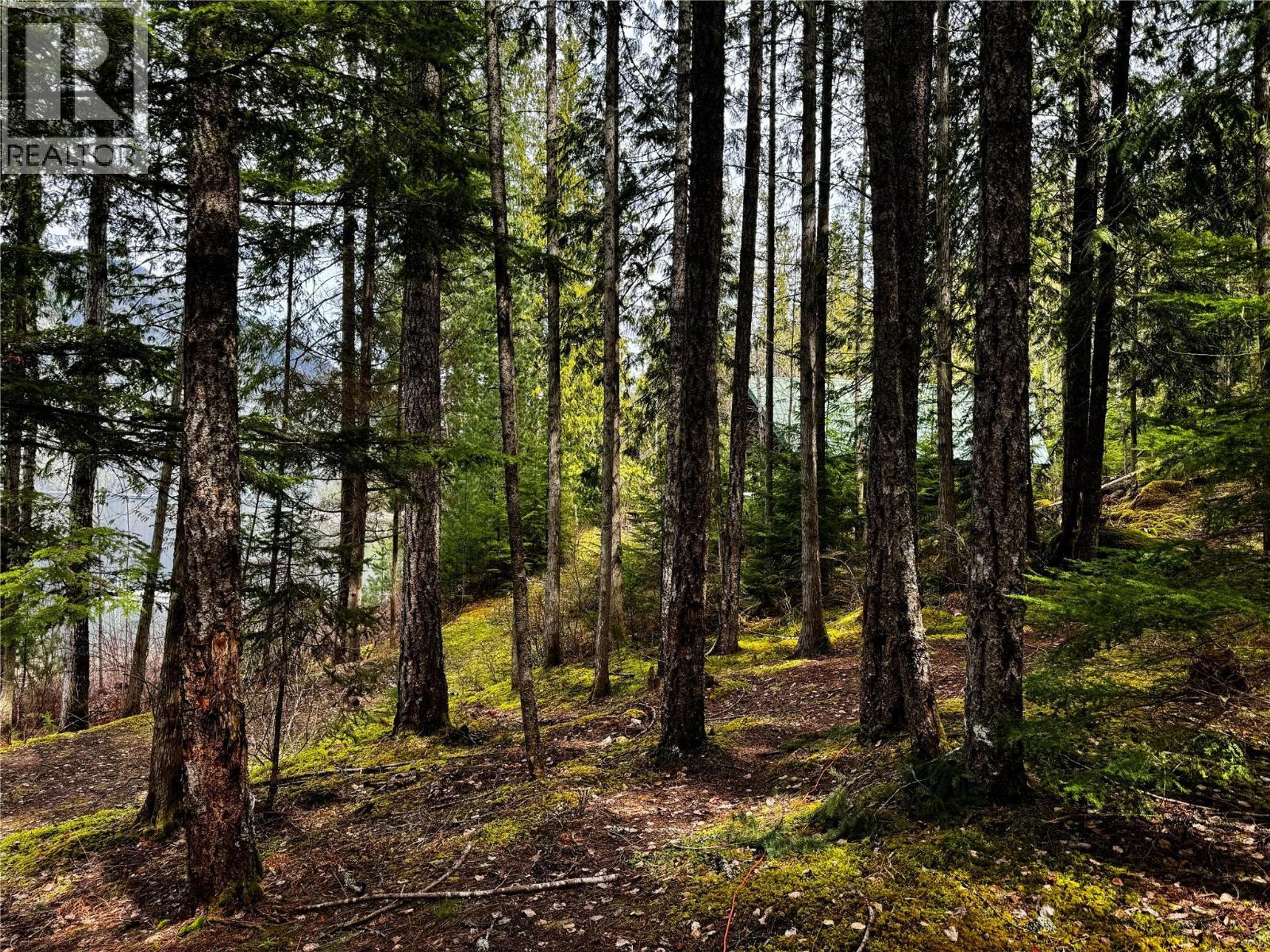 LOT 9 PETE MARTIN BAY - 39