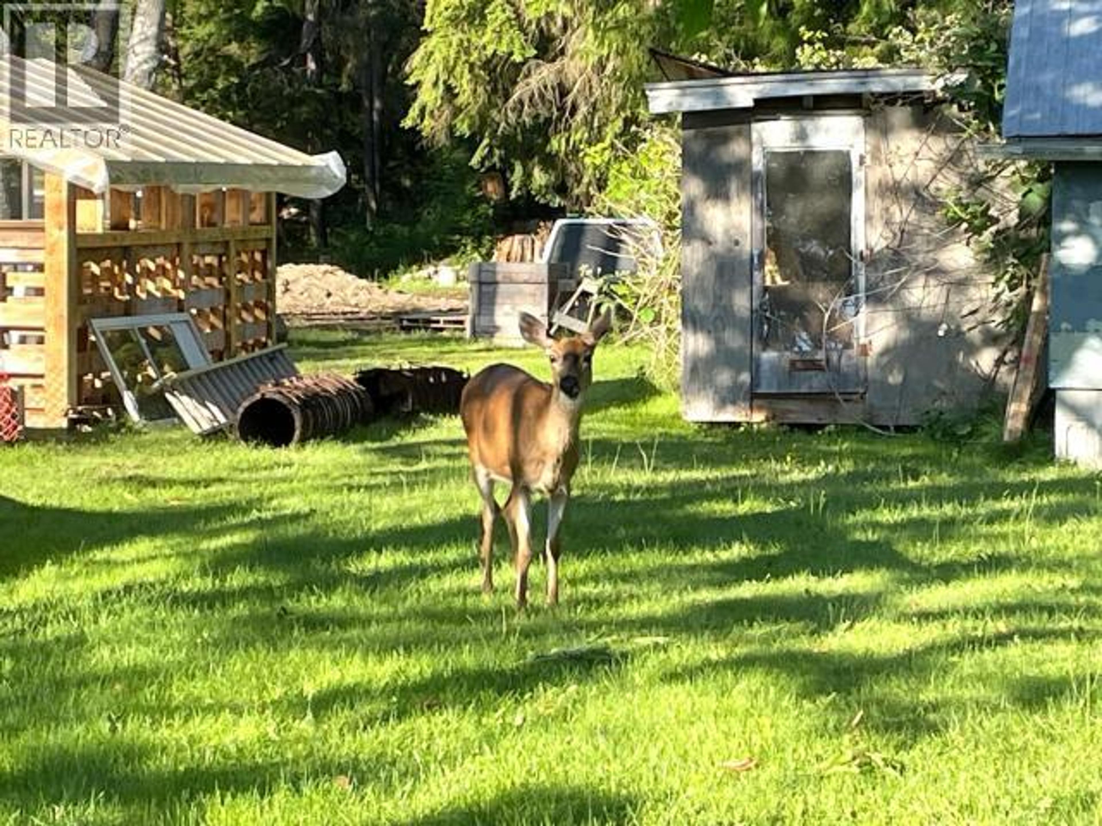 5044 MANSON AVE - 31