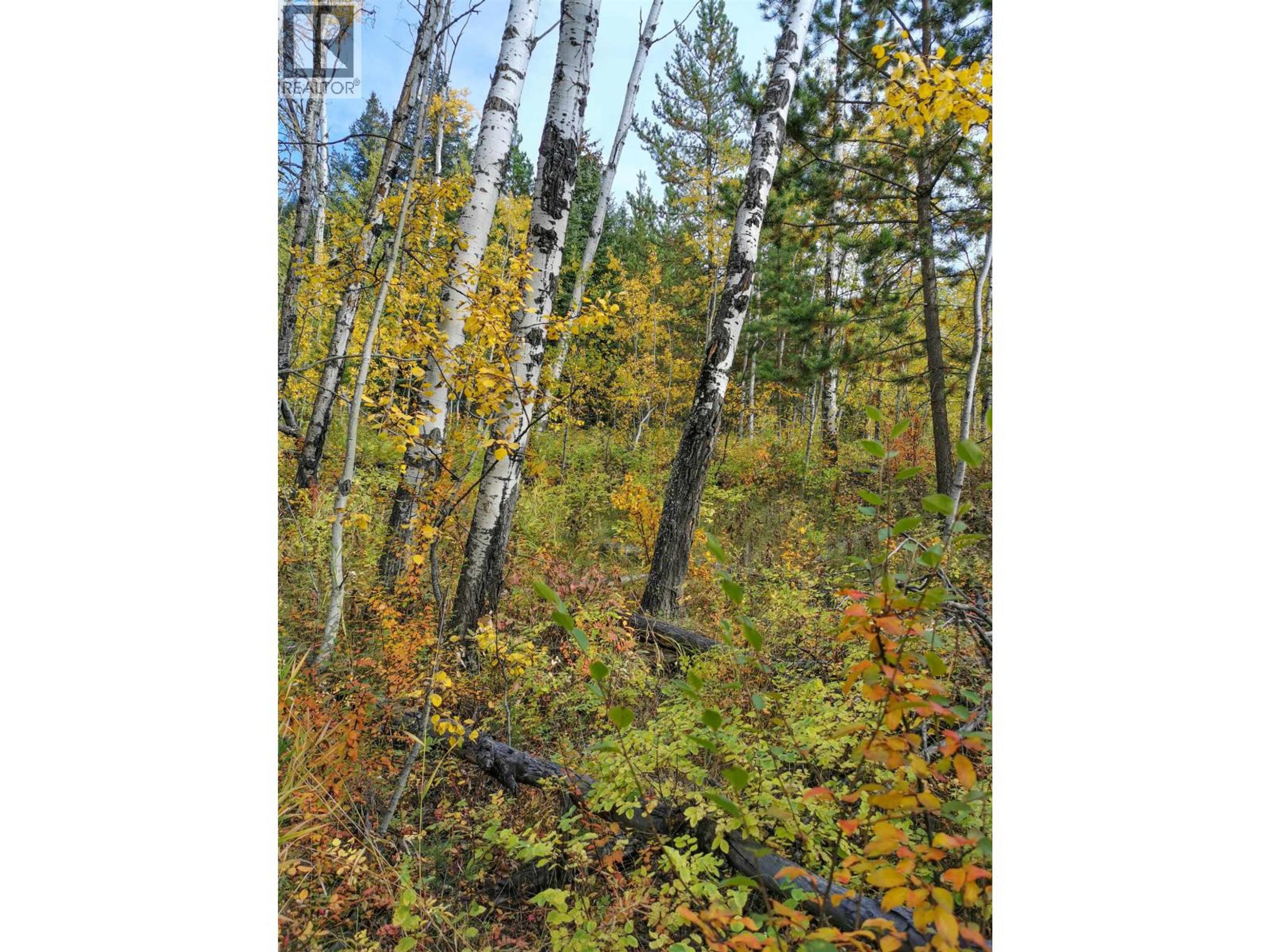 268 BLACKSTOCK ROAD - Image 4