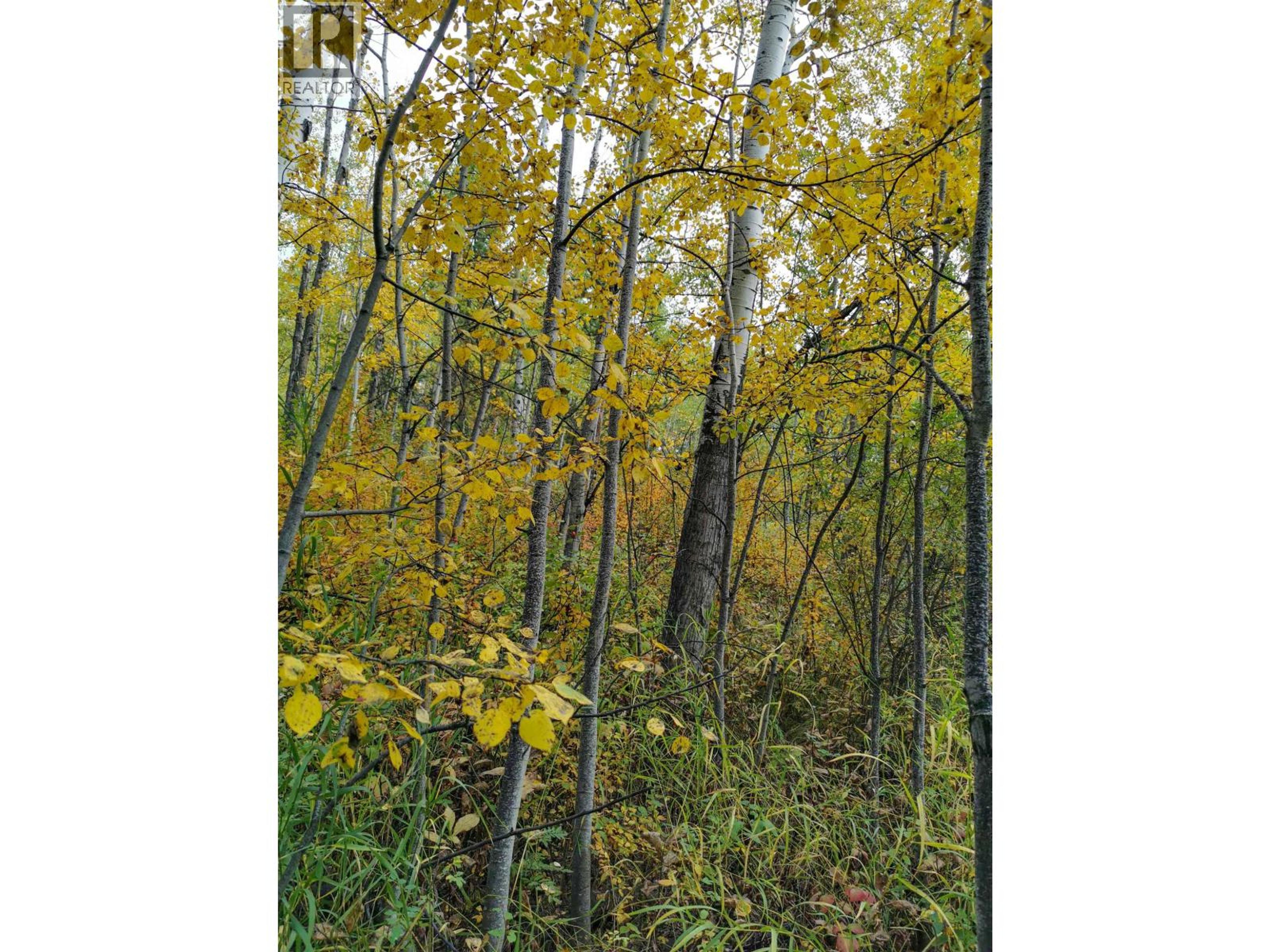 268 BLACKSTOCK ROAD - Image 5