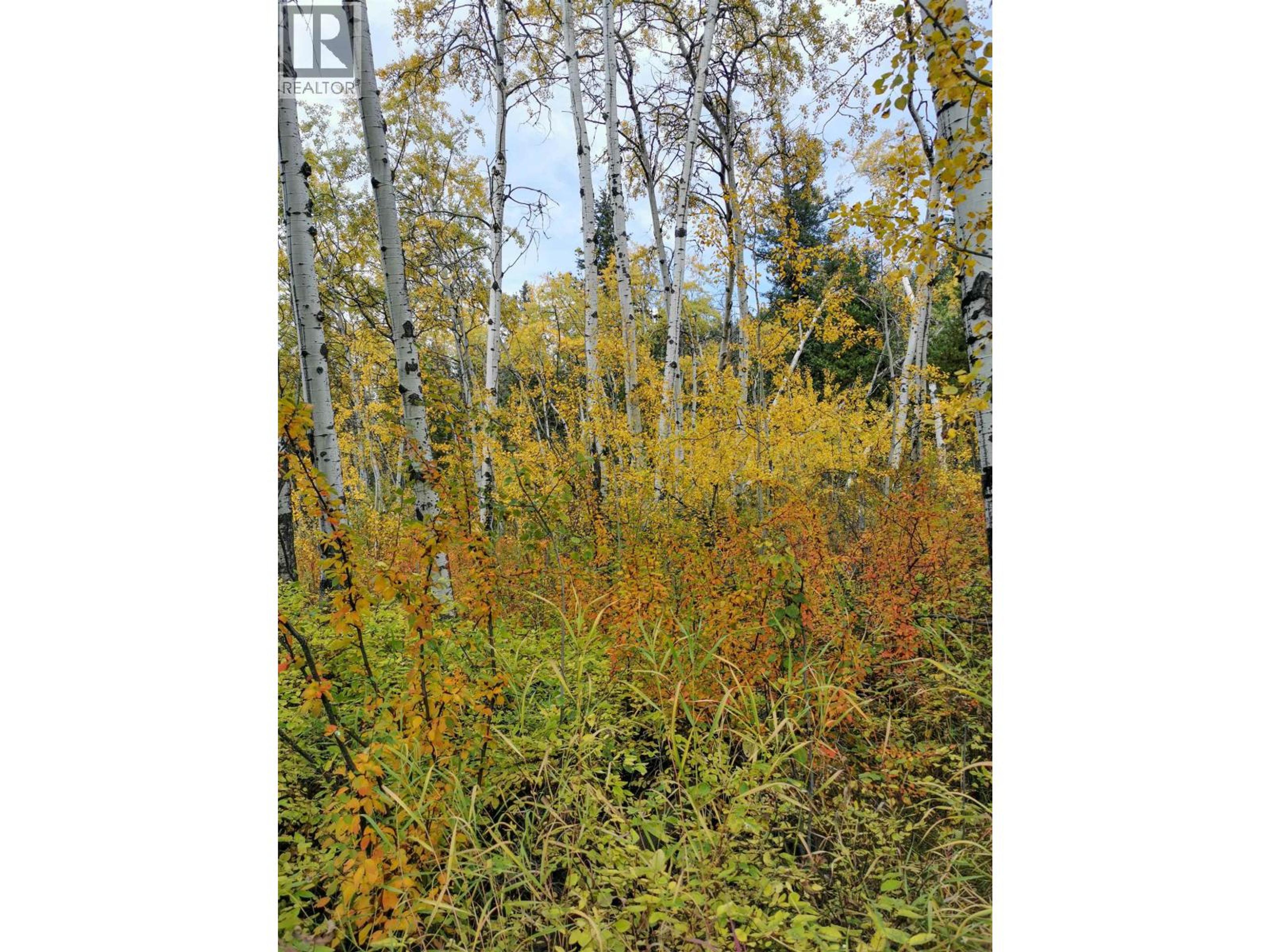 268 BLACKSTOCK ROAD - Image 6