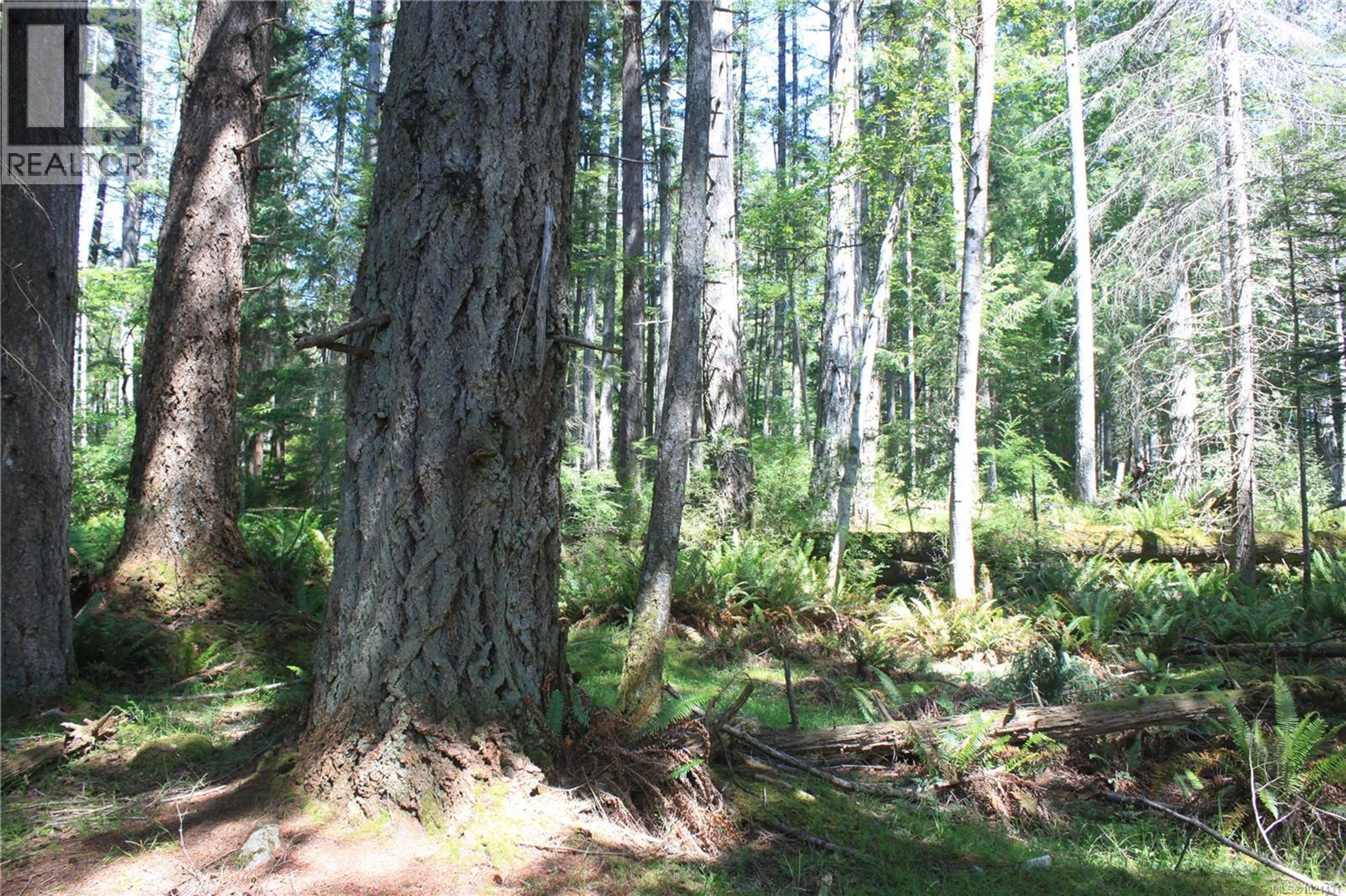 1 LENNIE RD - Image 10