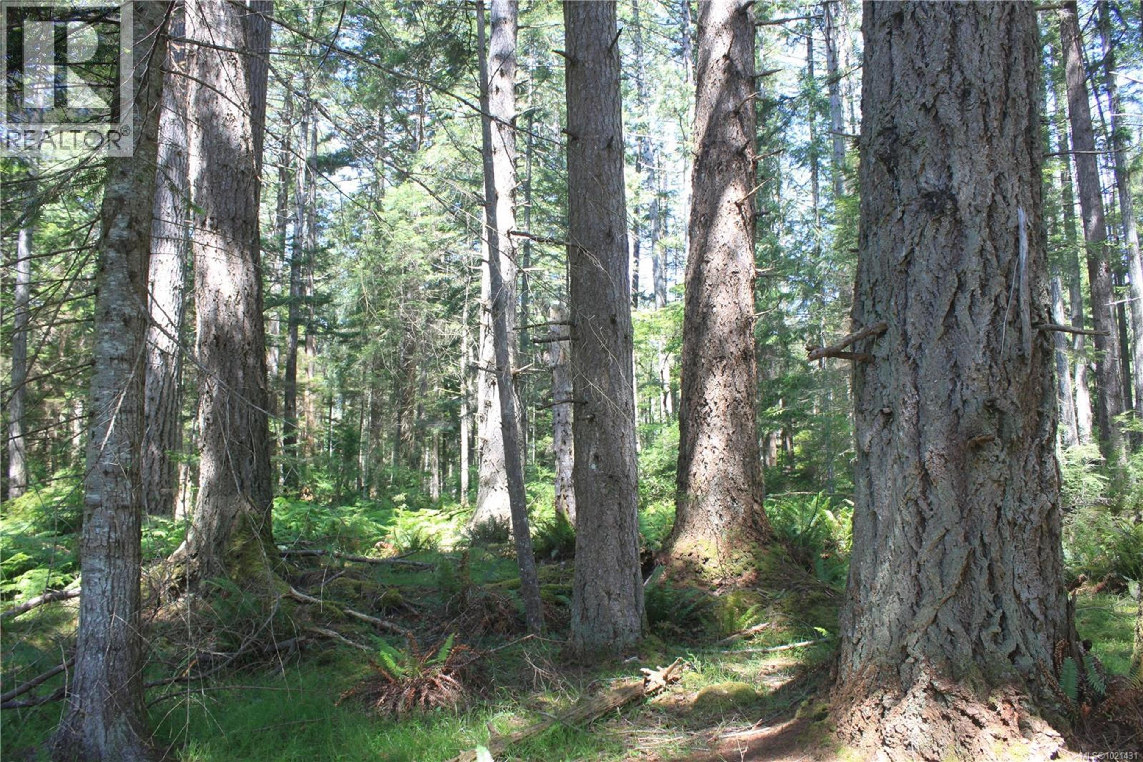 1 LENNIE RD - Image 11