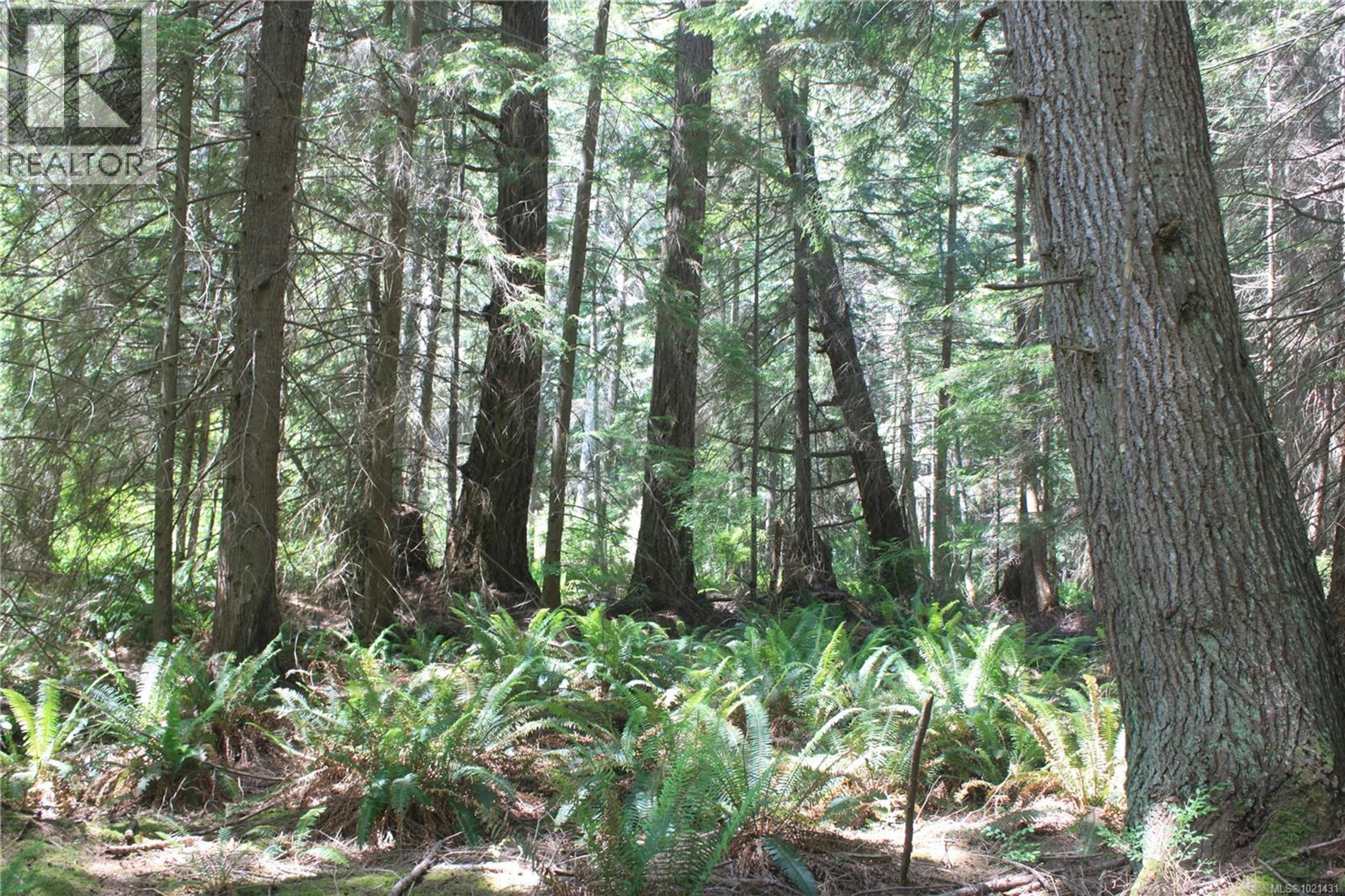 1 LENNIE RD - Image 13