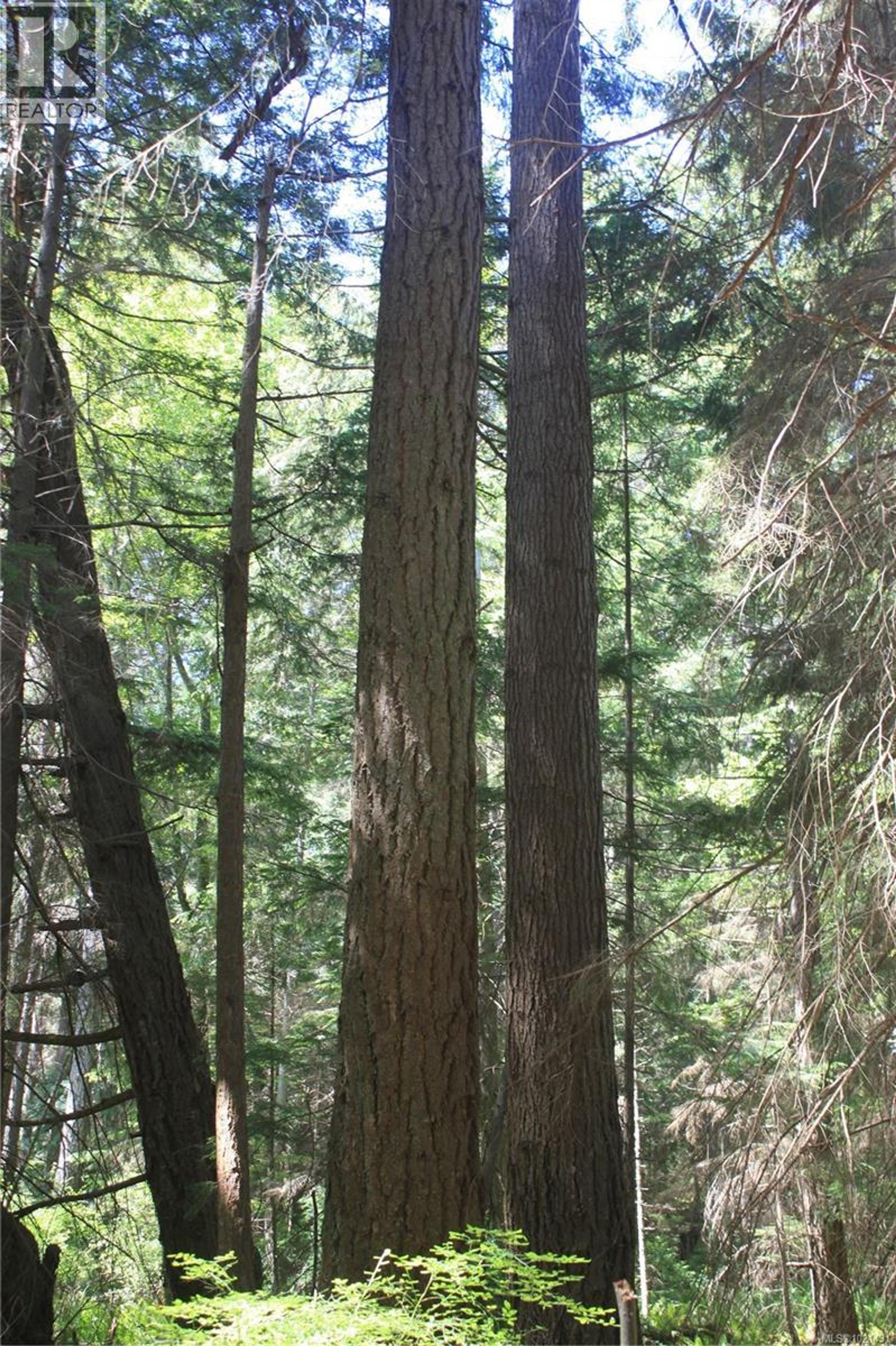 1 LENNIE RD - Image 15