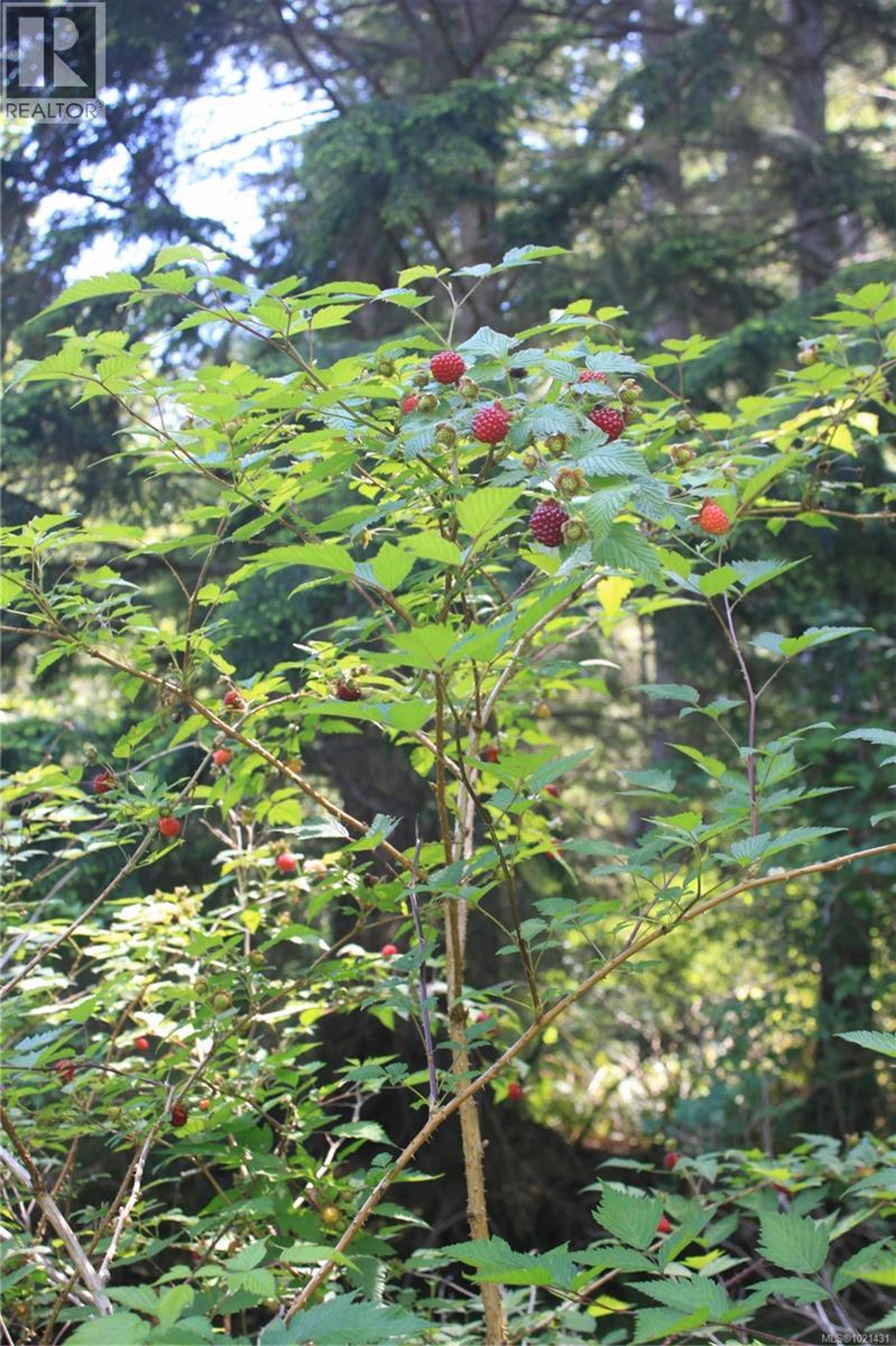 1 LENNIE RD - Image 16