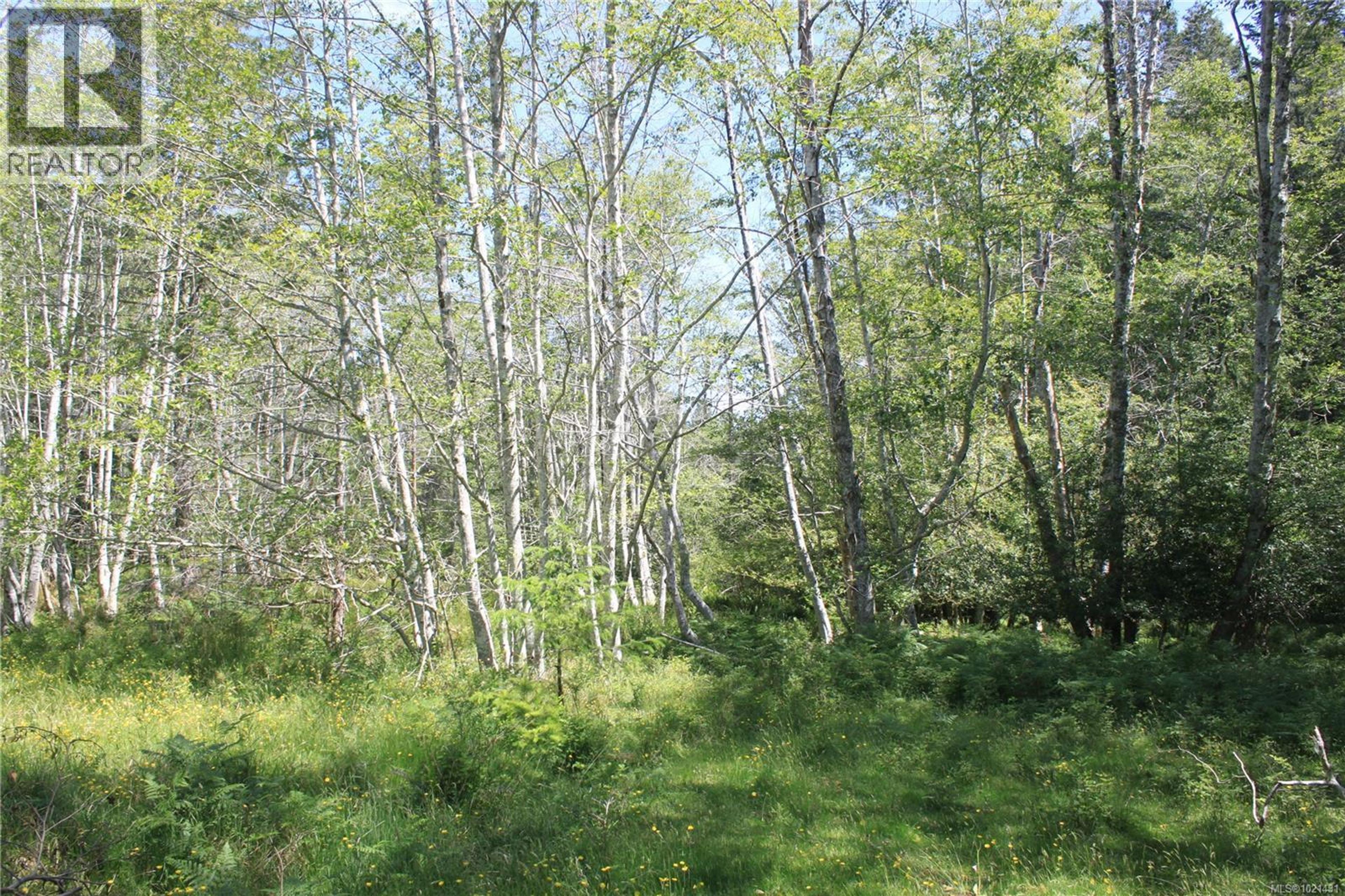 1 LENNIE RD - Image 17