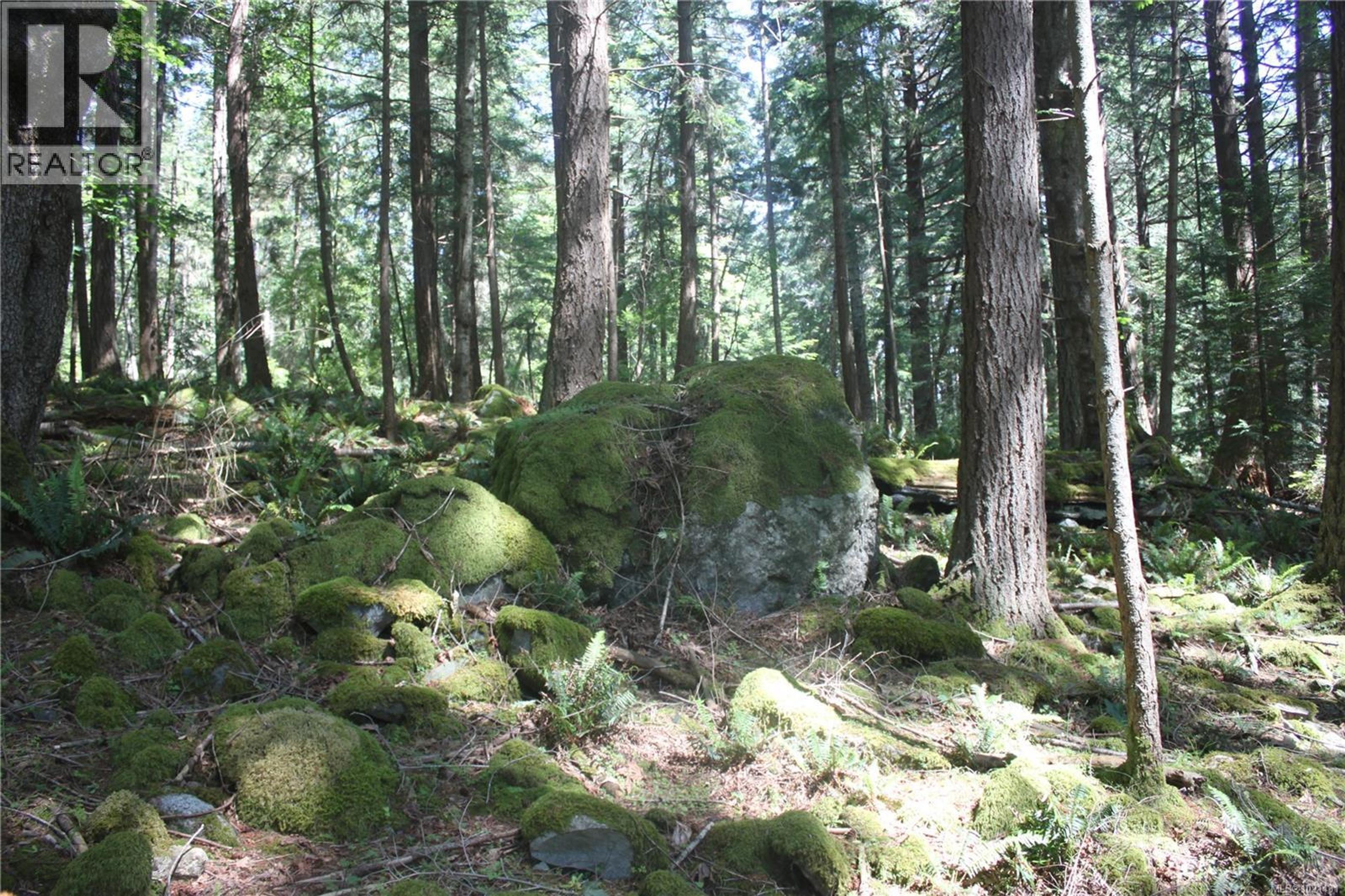 1 LENNIE RD - Image 4