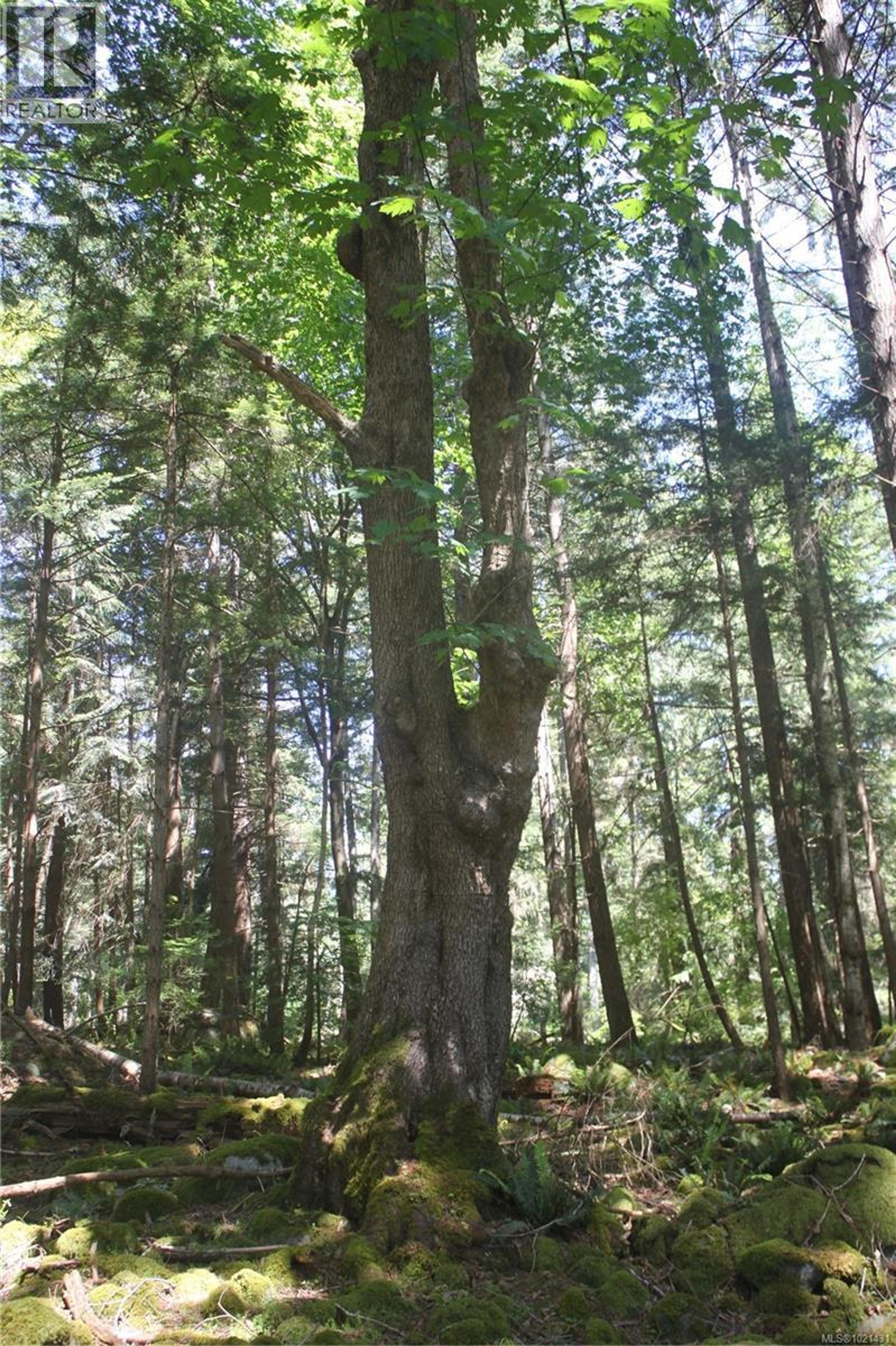 1 LENNIE RD - Image 5