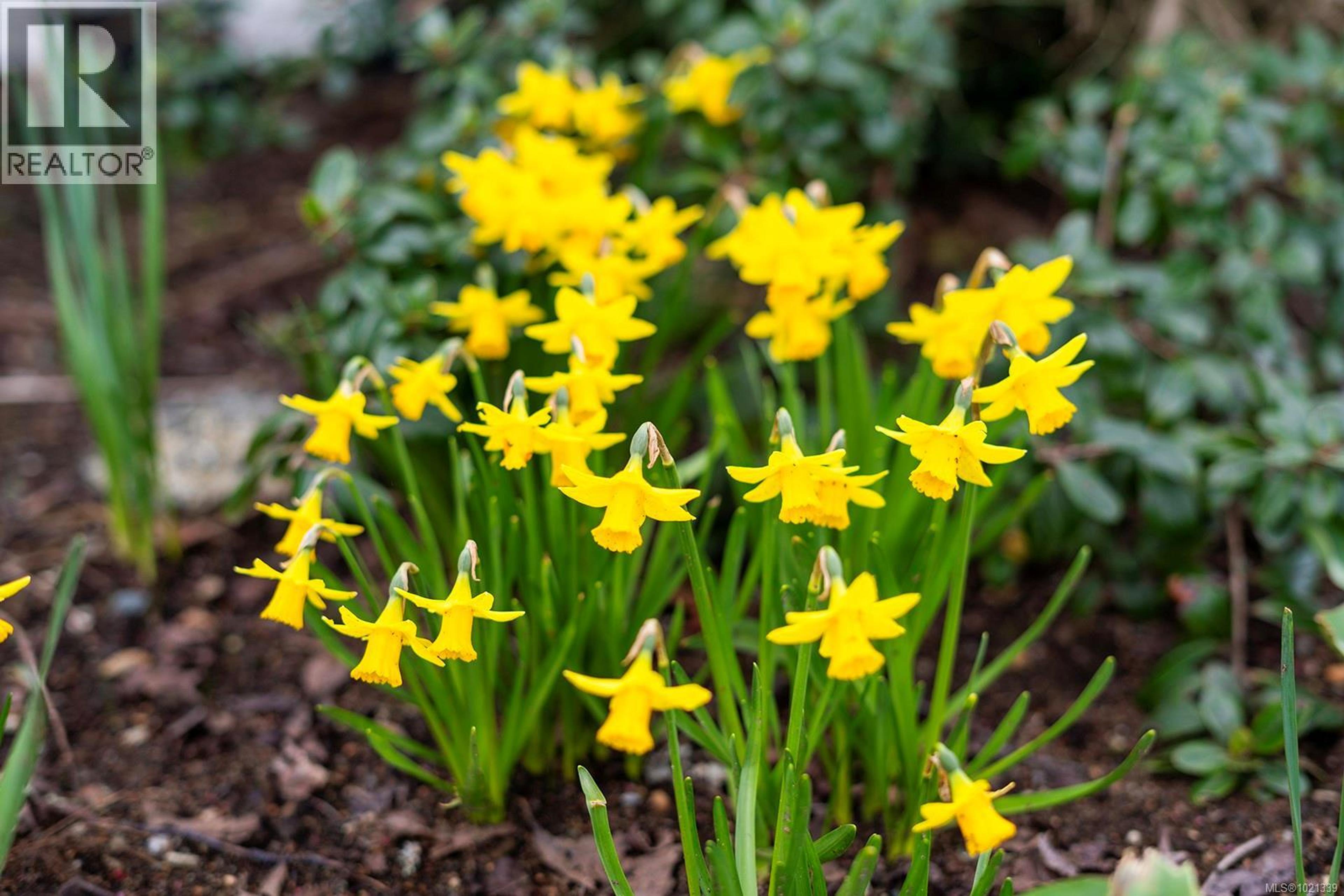 #407 264 MCVICKERS ST - 21