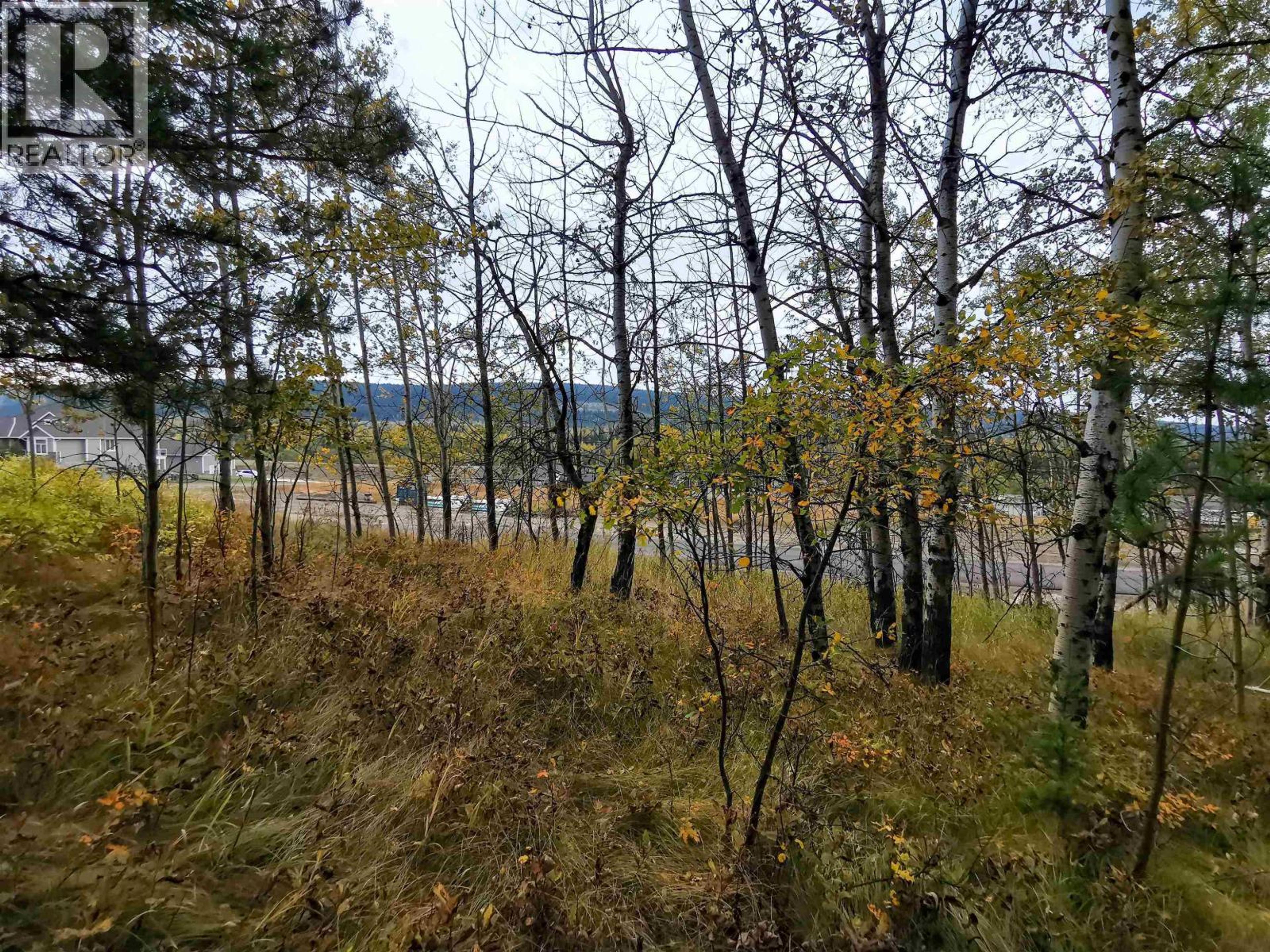 292 BLACKSTOCK ROAD - Image 5