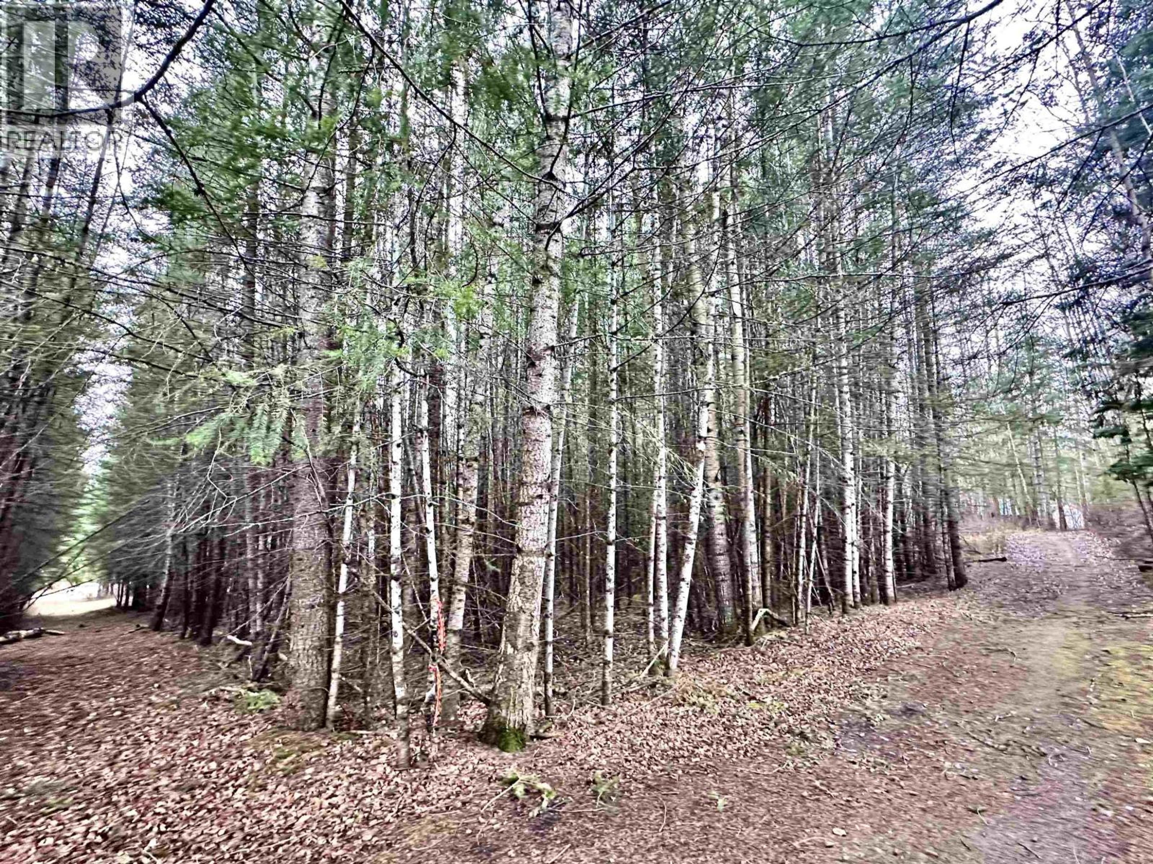 310 MOUNTAIN VIEW ROAD - 21