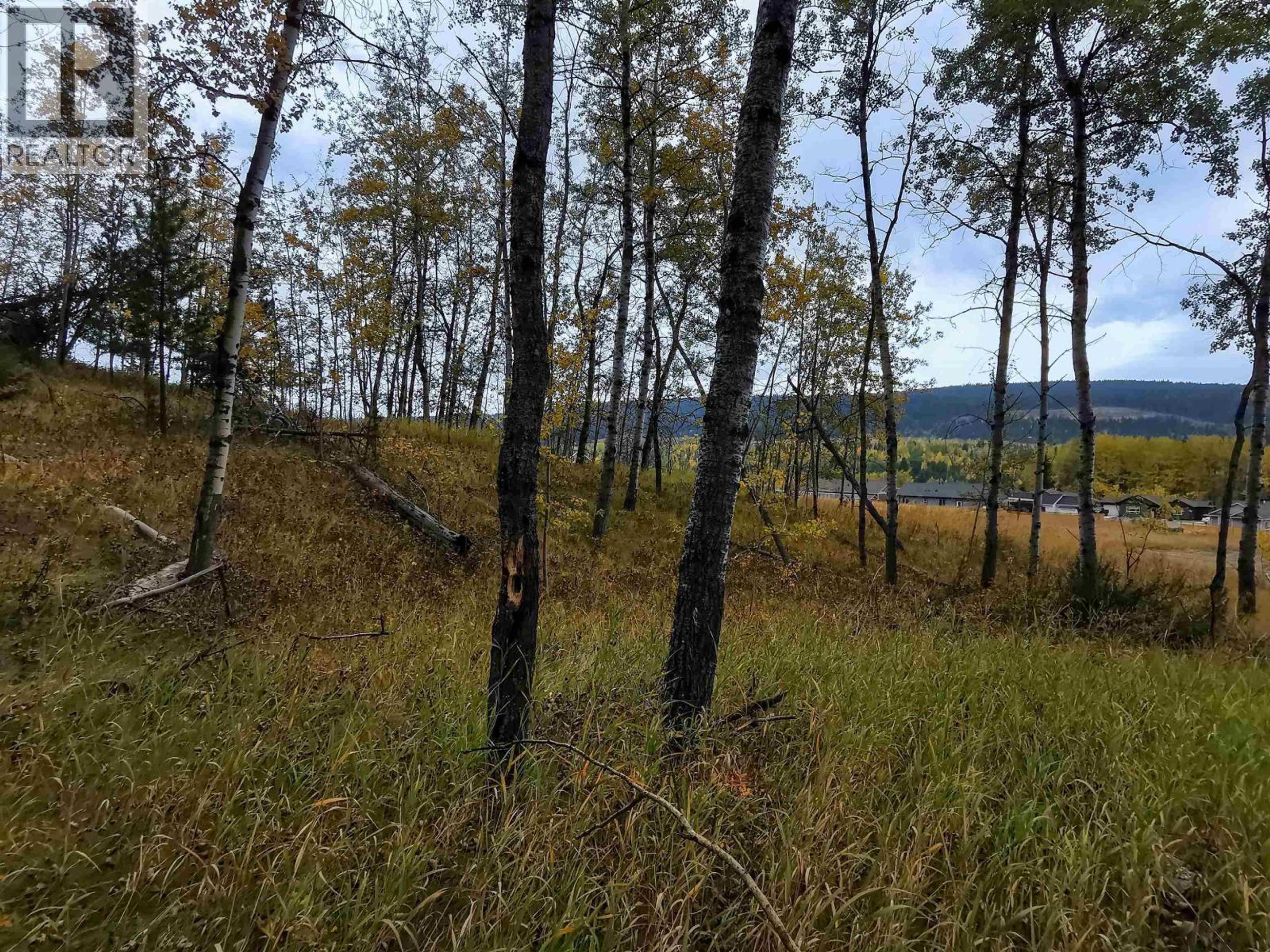 288 BLACKSTOCK ROAD - Image 5