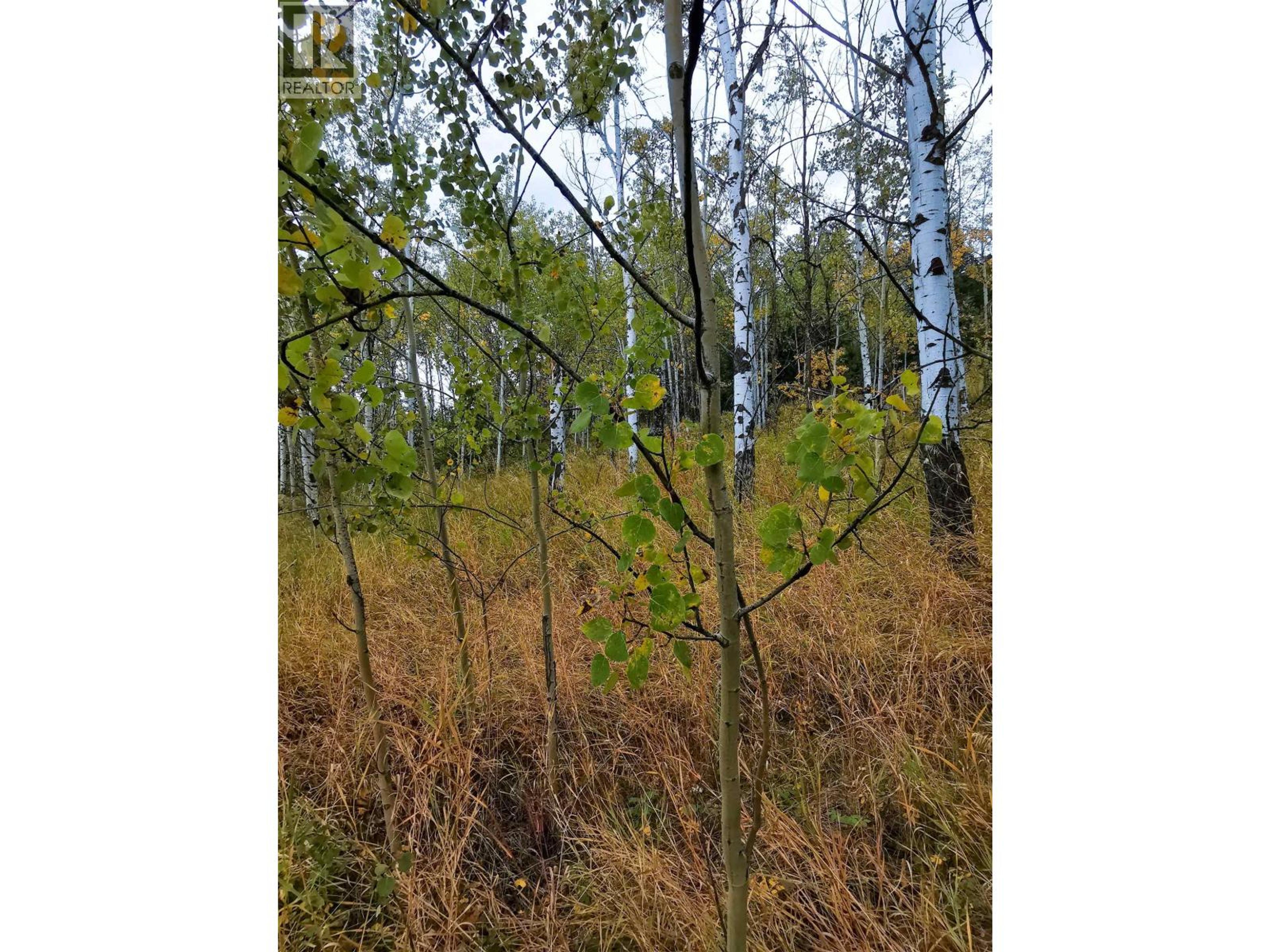 284 BLACKSTOCK ROAD - Image 5