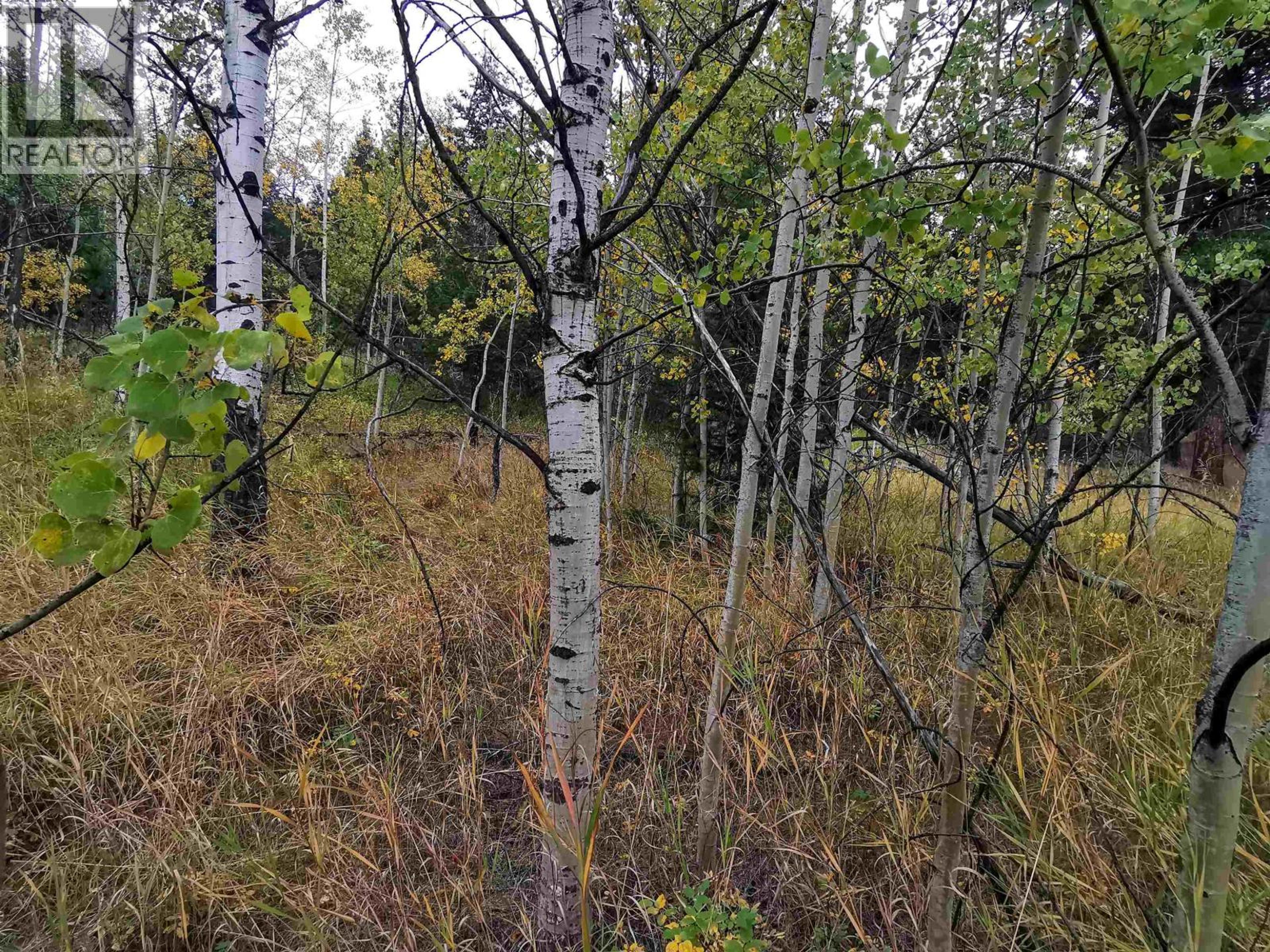 284 BLACKSTOCK ROAD - Image 6