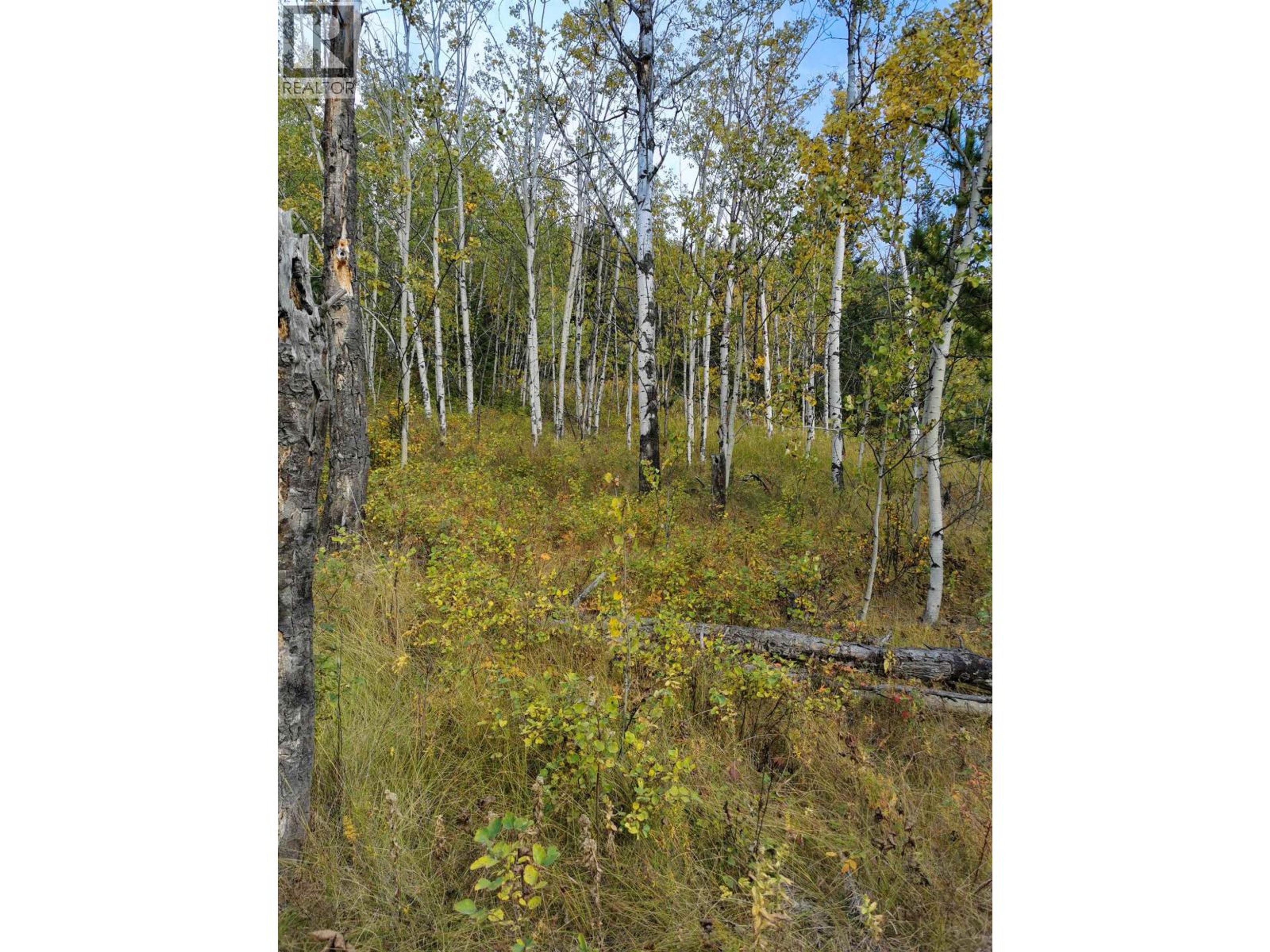 280 BLACKSTOCK ROAD - Image 4