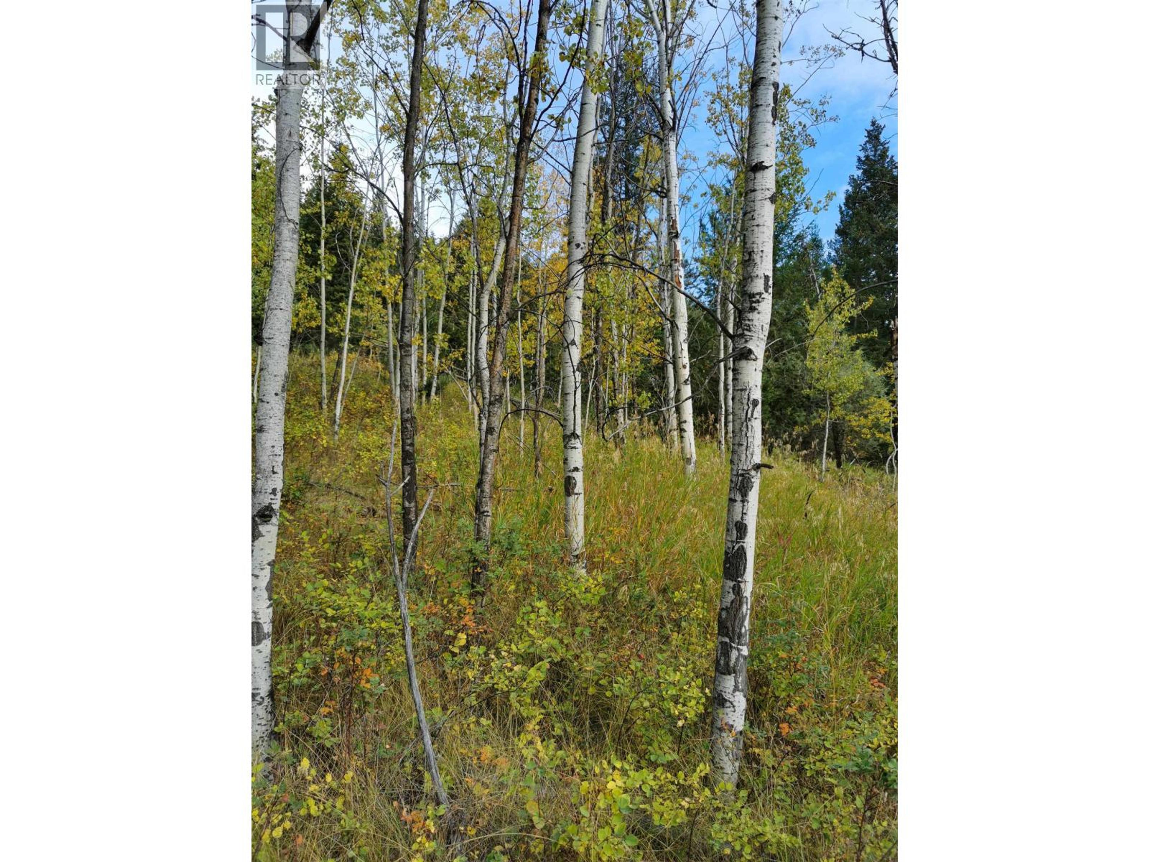 280 BLACKSTOCK ROAD - Image 6