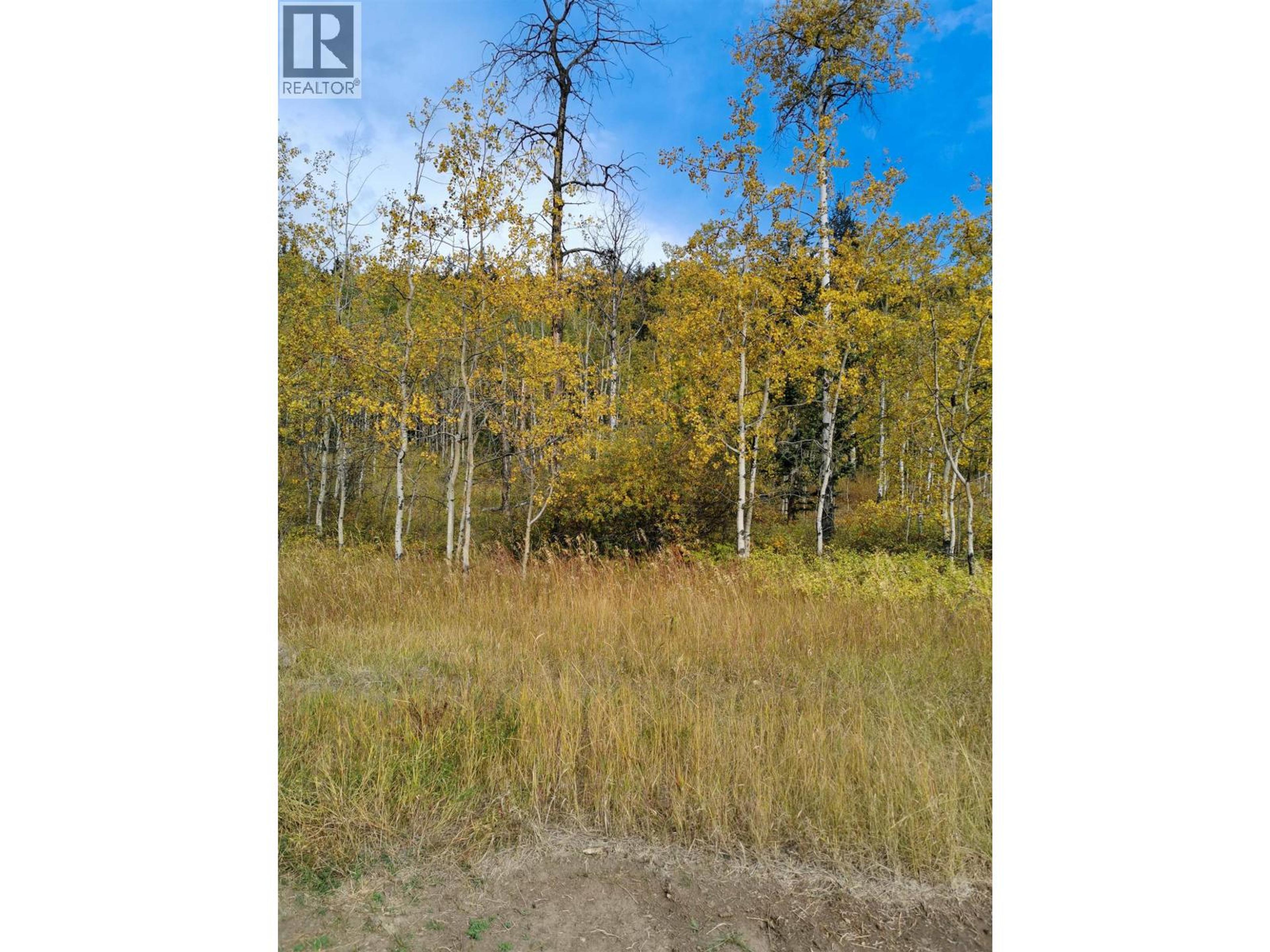 280 BLACKSTOCK ROAD - Image 8