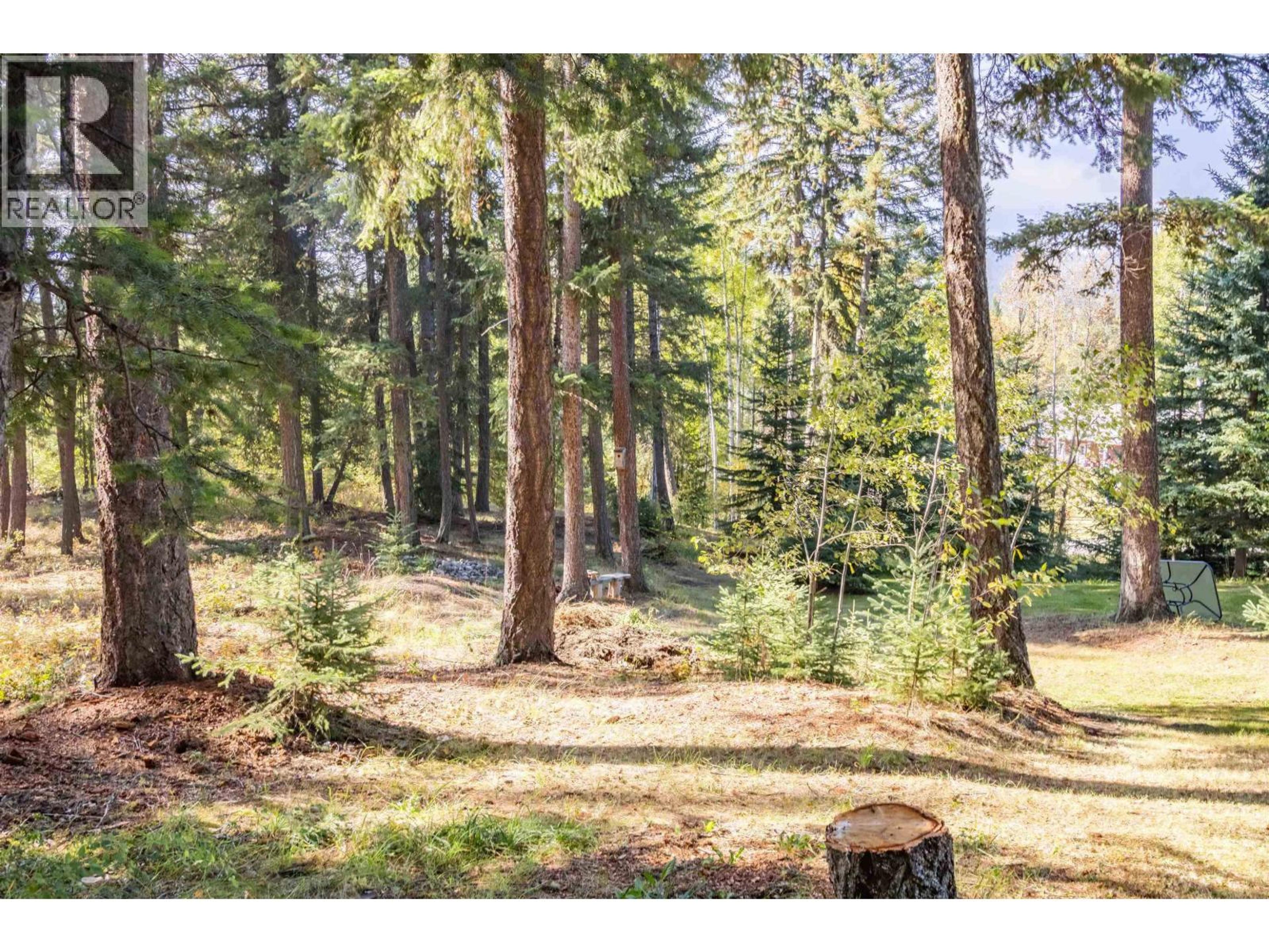 LOT 3 RAINBOW DRIVE - Image 12