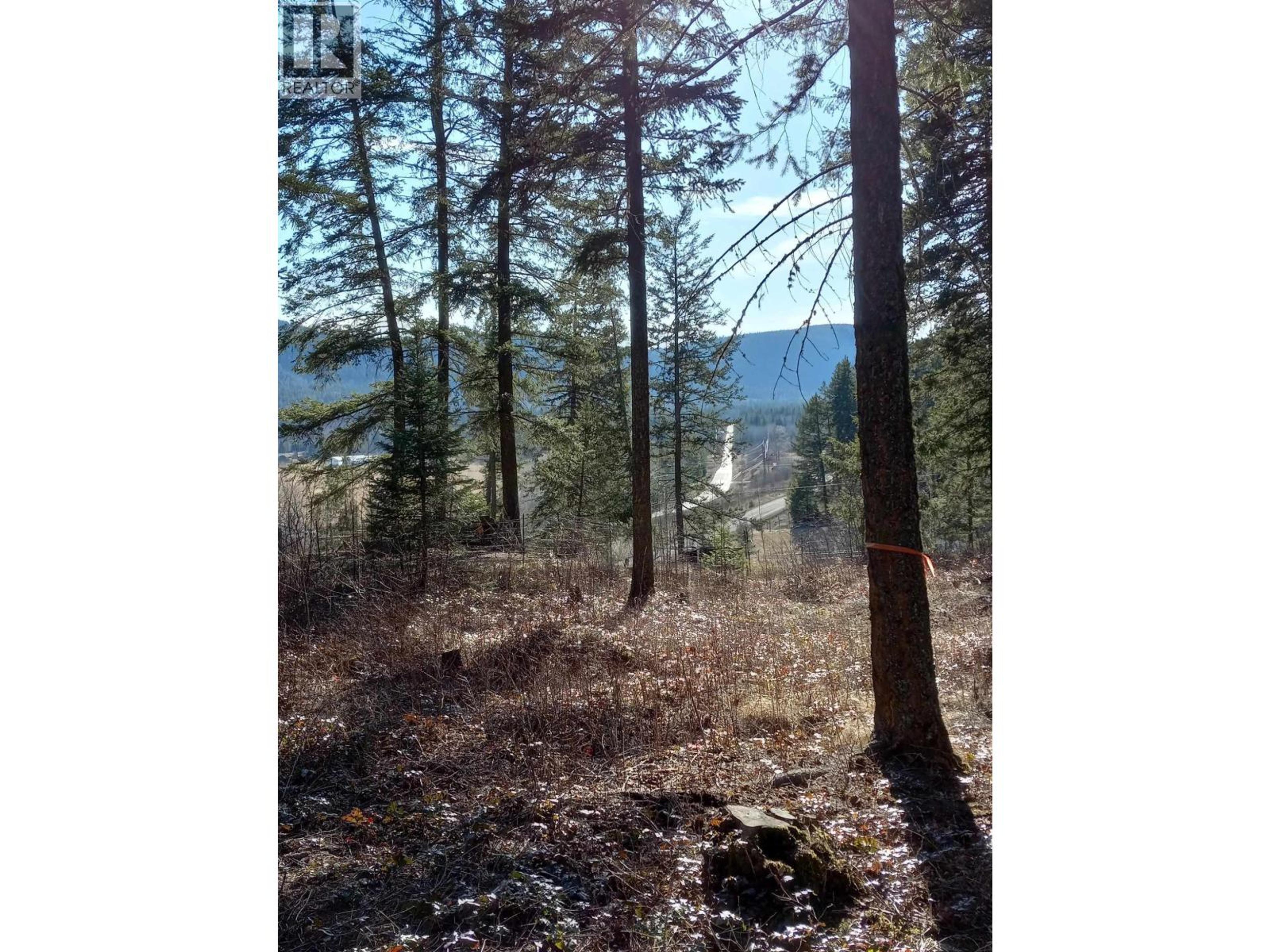 LOT 3 RAINBOW DRIVE - Image 7