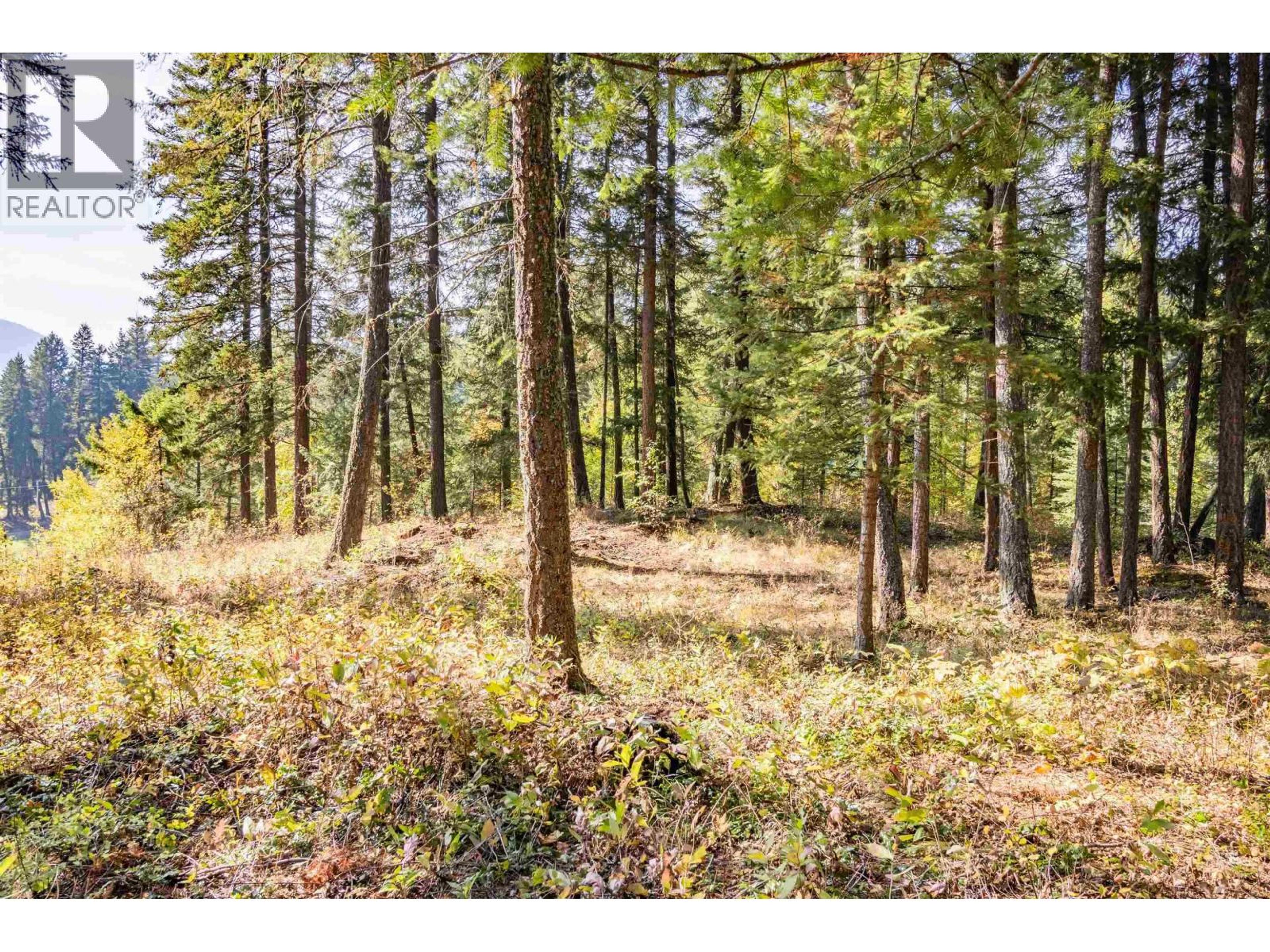 LOT 3 RAINBOW DRIVE - Image 9