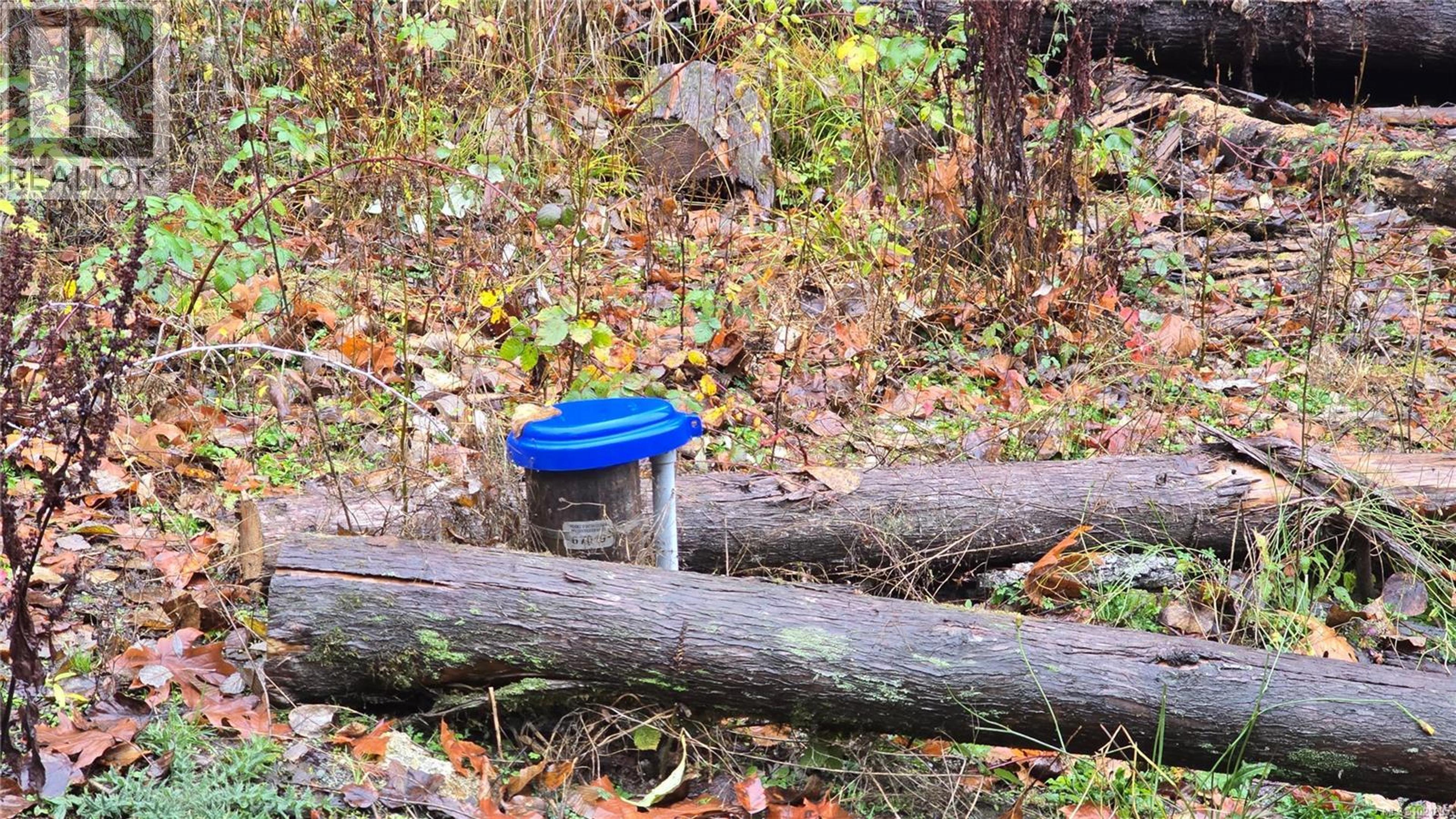 LOT 6 COWICHAN LAKE RD - Image 3