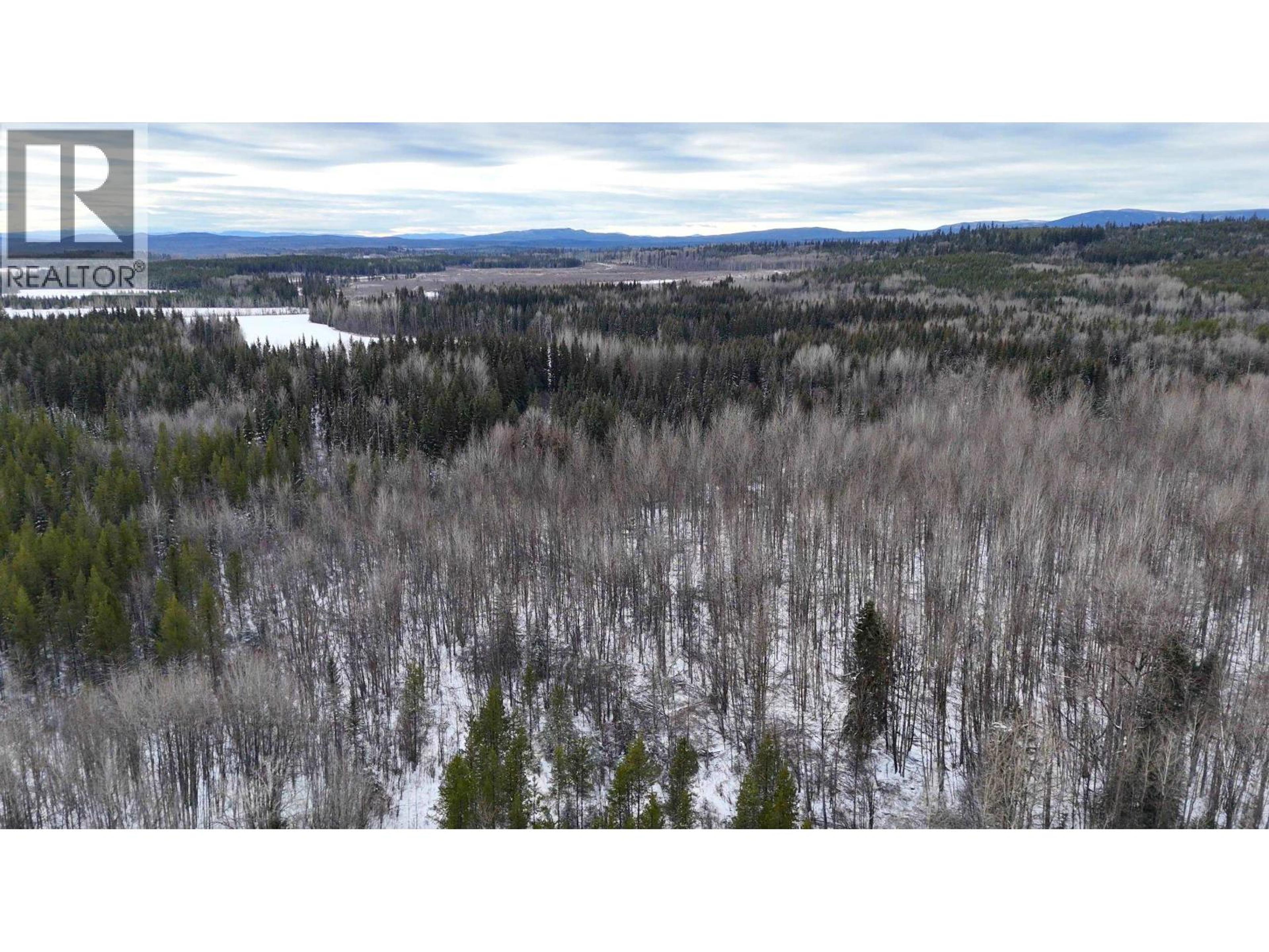 #DL 5559 S MCBRIDE TIMBER ROAD - 14