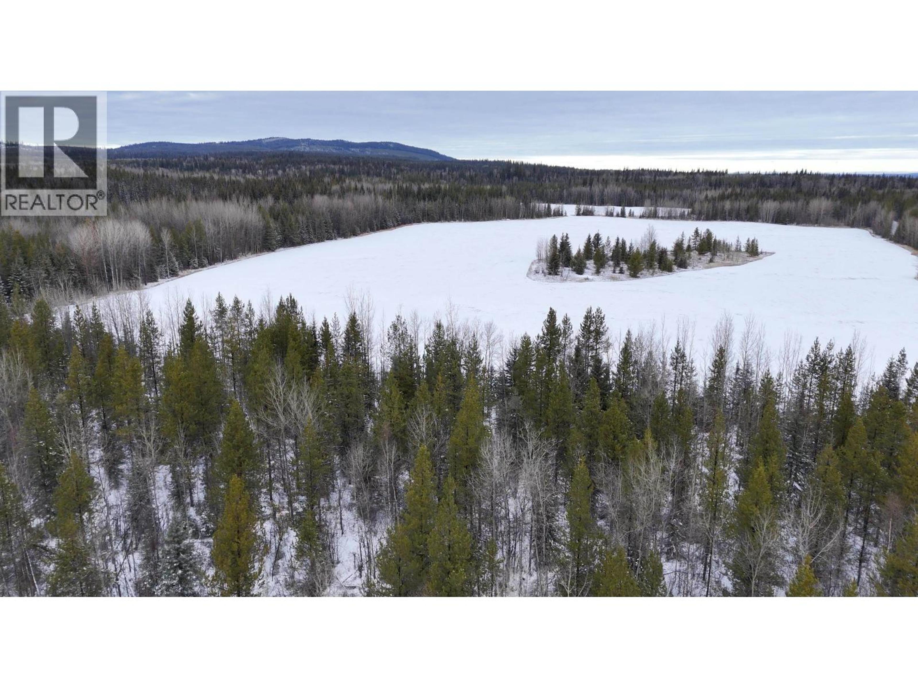 #DL 5559 S MCBRIDE TIMBER ROAD - 18