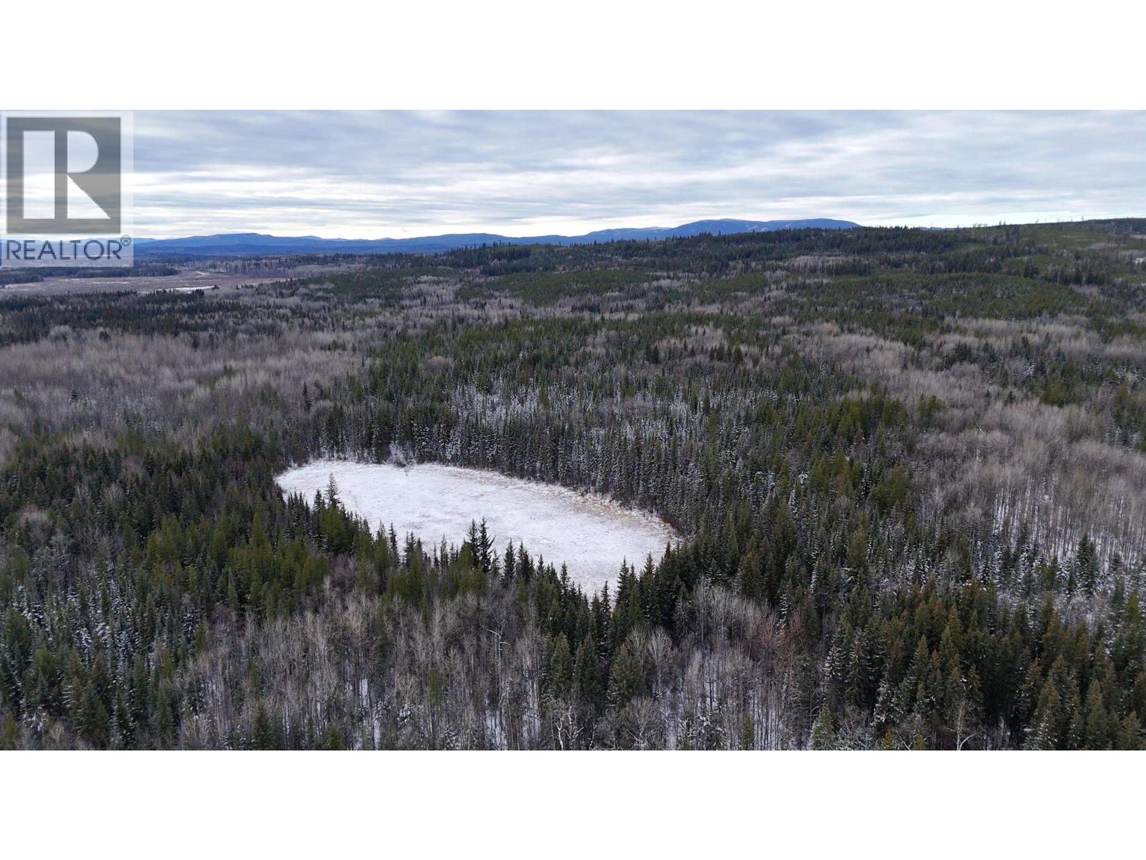 #DL 5559 S MCBRIDE TIMBER ROAD - 17