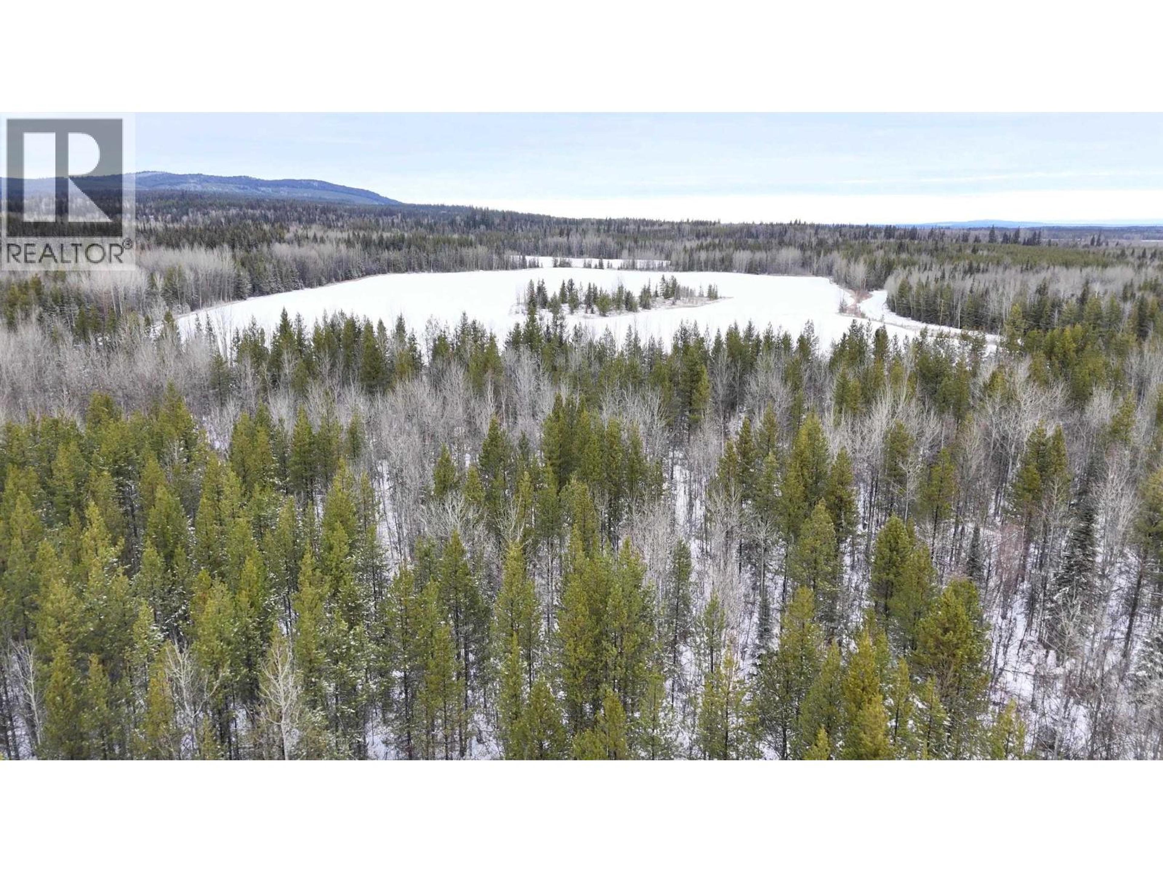 #DL 5559 S MCBRIDE TIMBER ROAD - 19