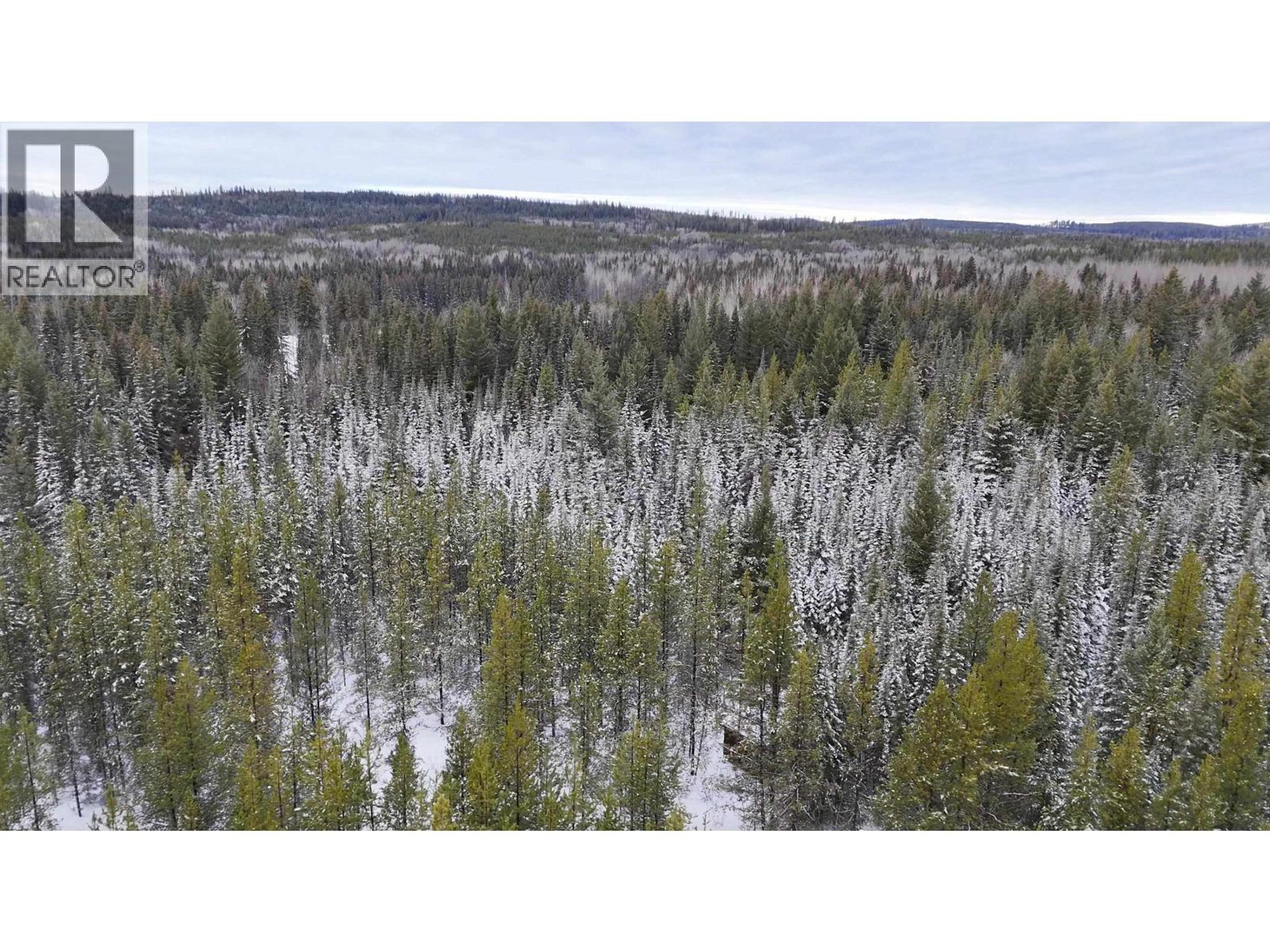 #DL 5559 S MCBRIDE TIMBER ROAD - 24