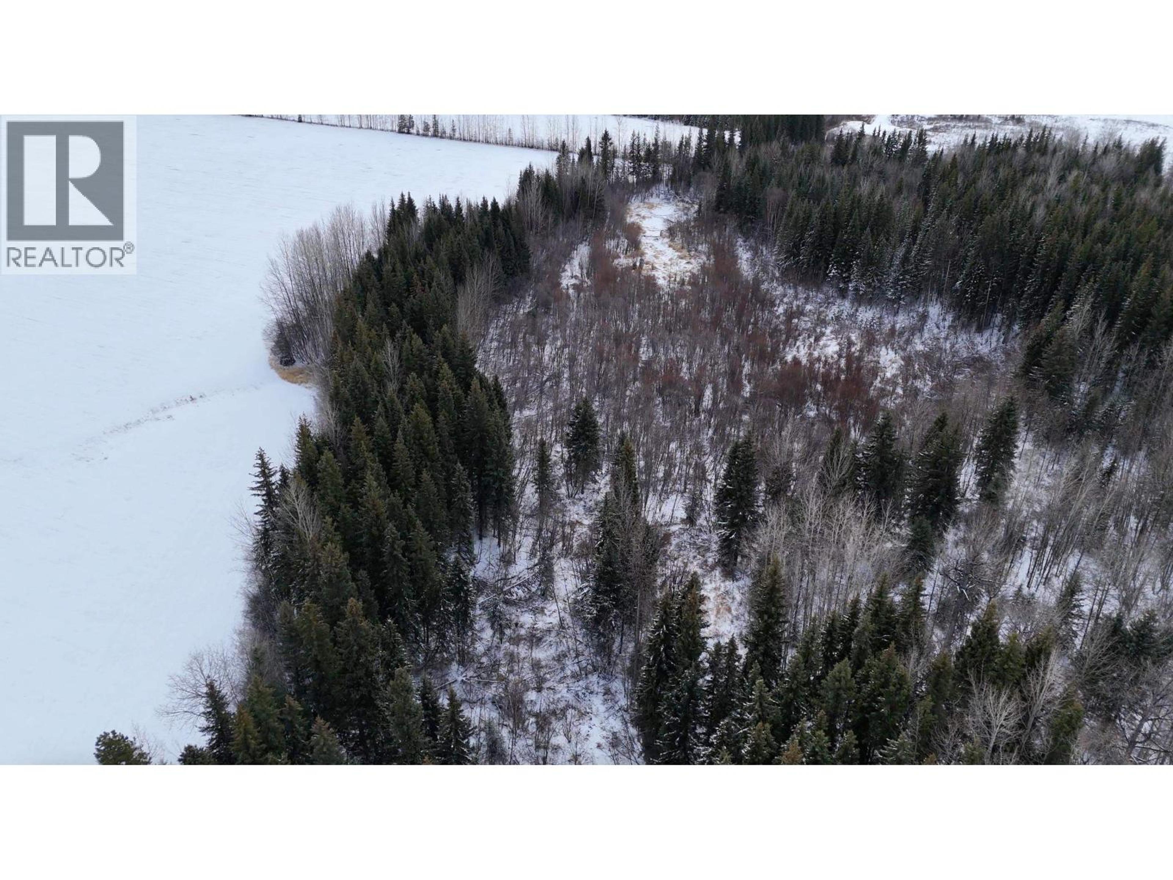 #DL 5559 S MCBRIDE TIMBER ROAD - 10