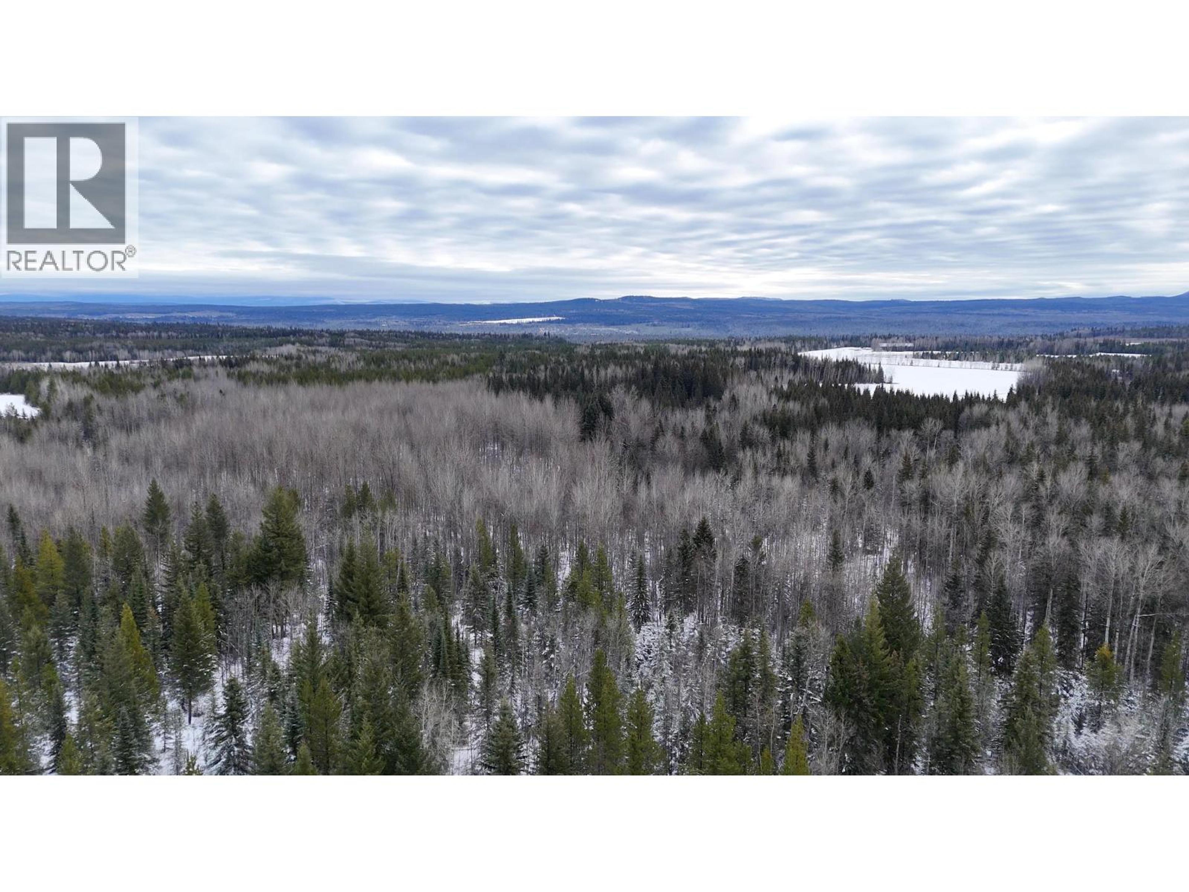 #DL 5559 S MCBRIDE TIMBER ROAD - 20