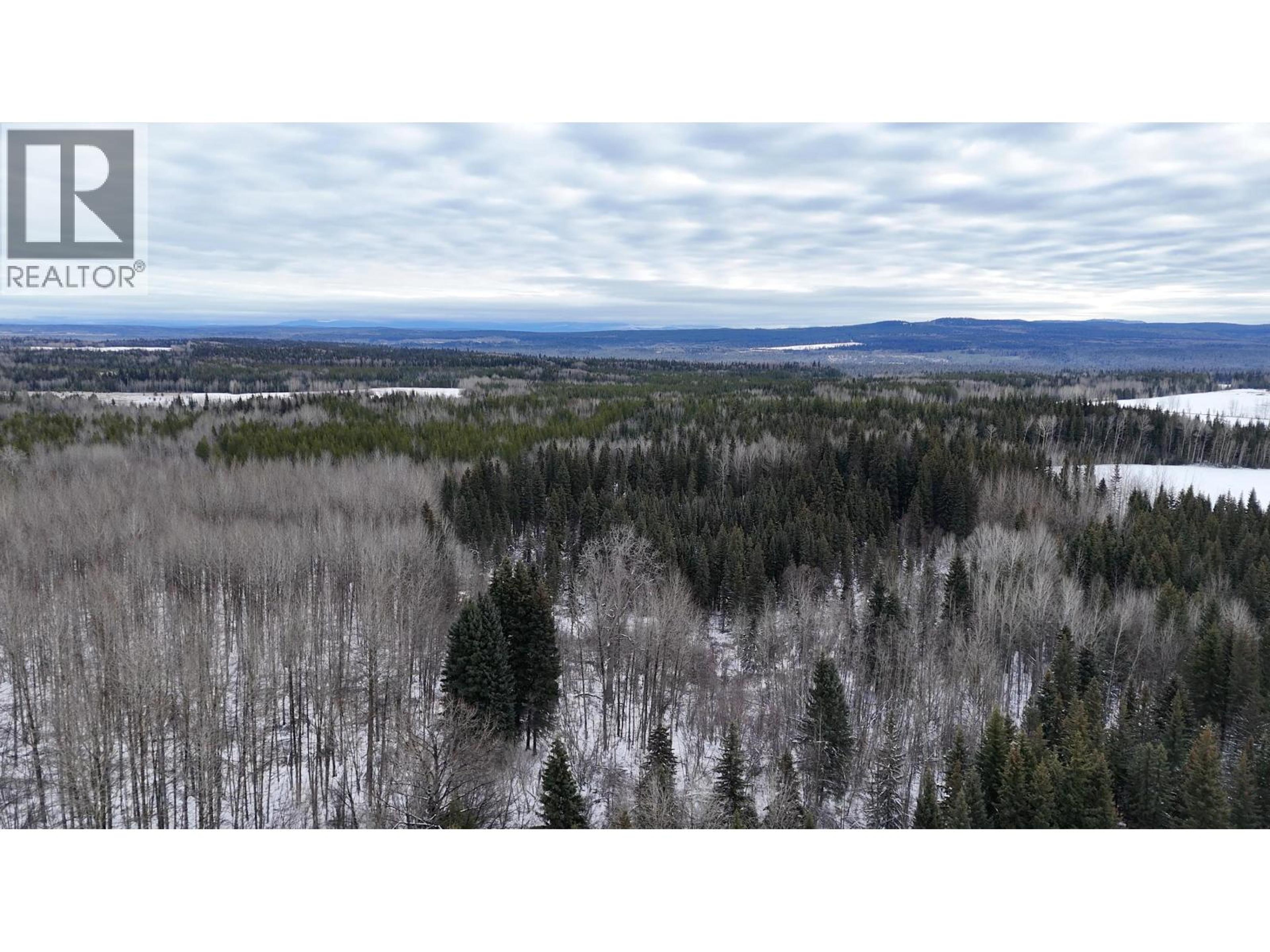 #DL 5559 S MCBRIDE TIMBER ROAD - 21