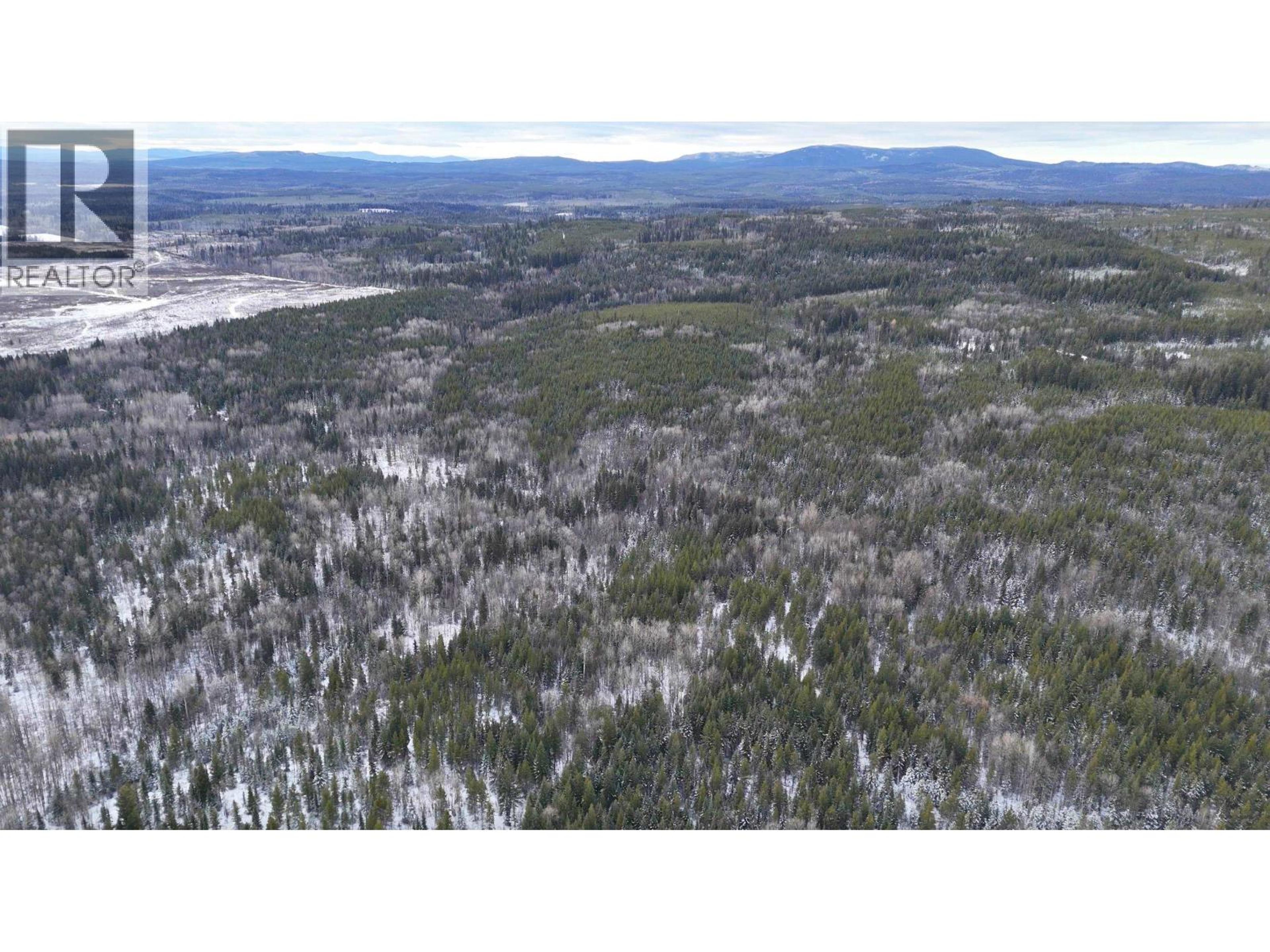 #DL 5559 S MCBRIDE TIMBER ROAD - 11