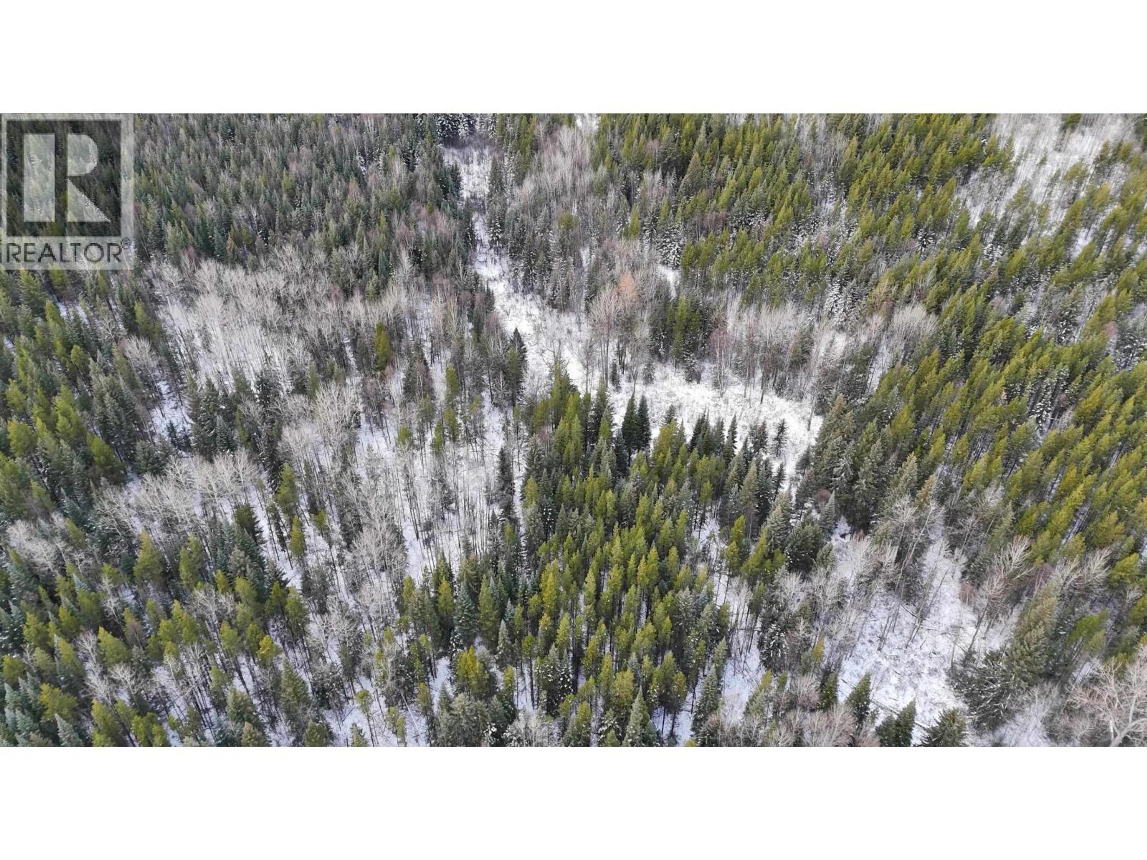 #DL 5559 S MCBRIDE TIMBER ROAD - 8