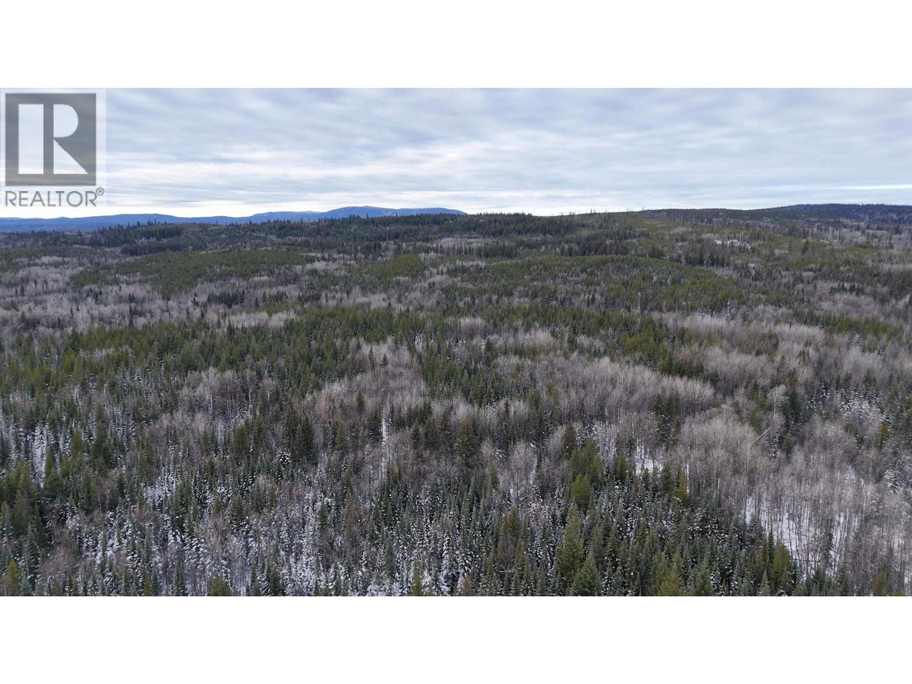 #DL 5559 S MCBRIDE TIMBER ROAD - 16