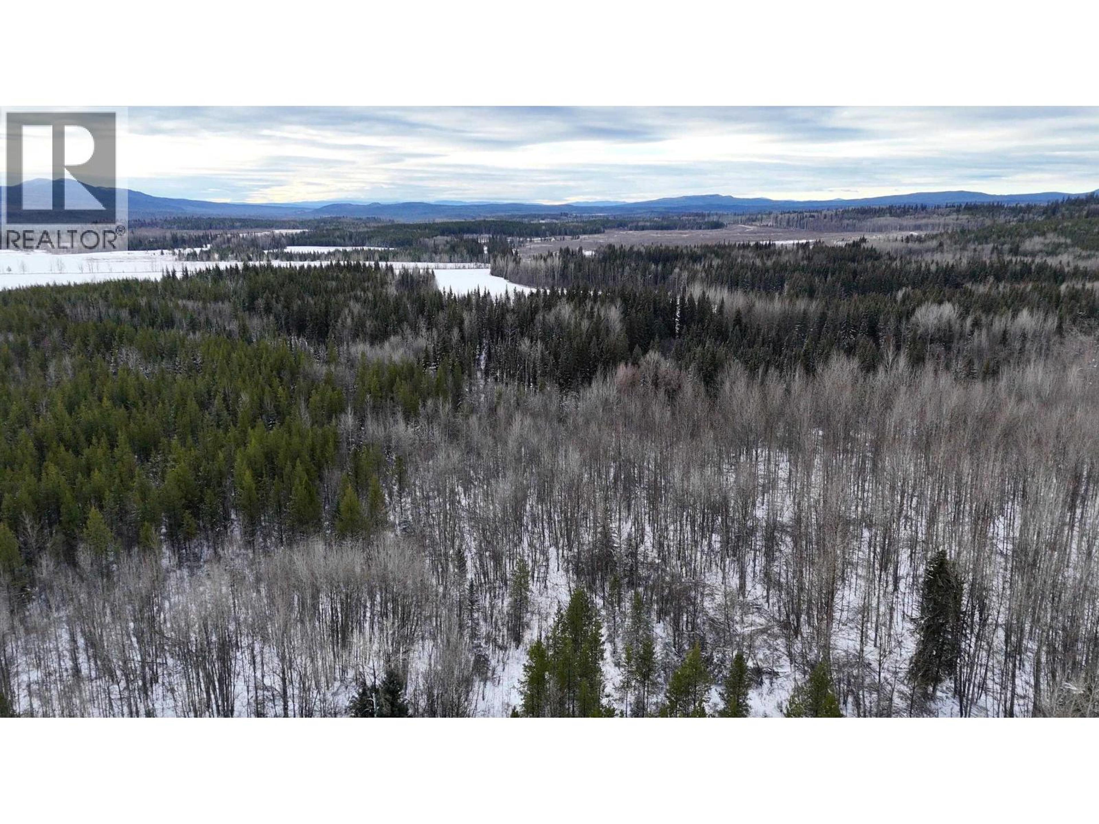 #DL 5559 S MCBRIDE TIMBER ROAD - 29