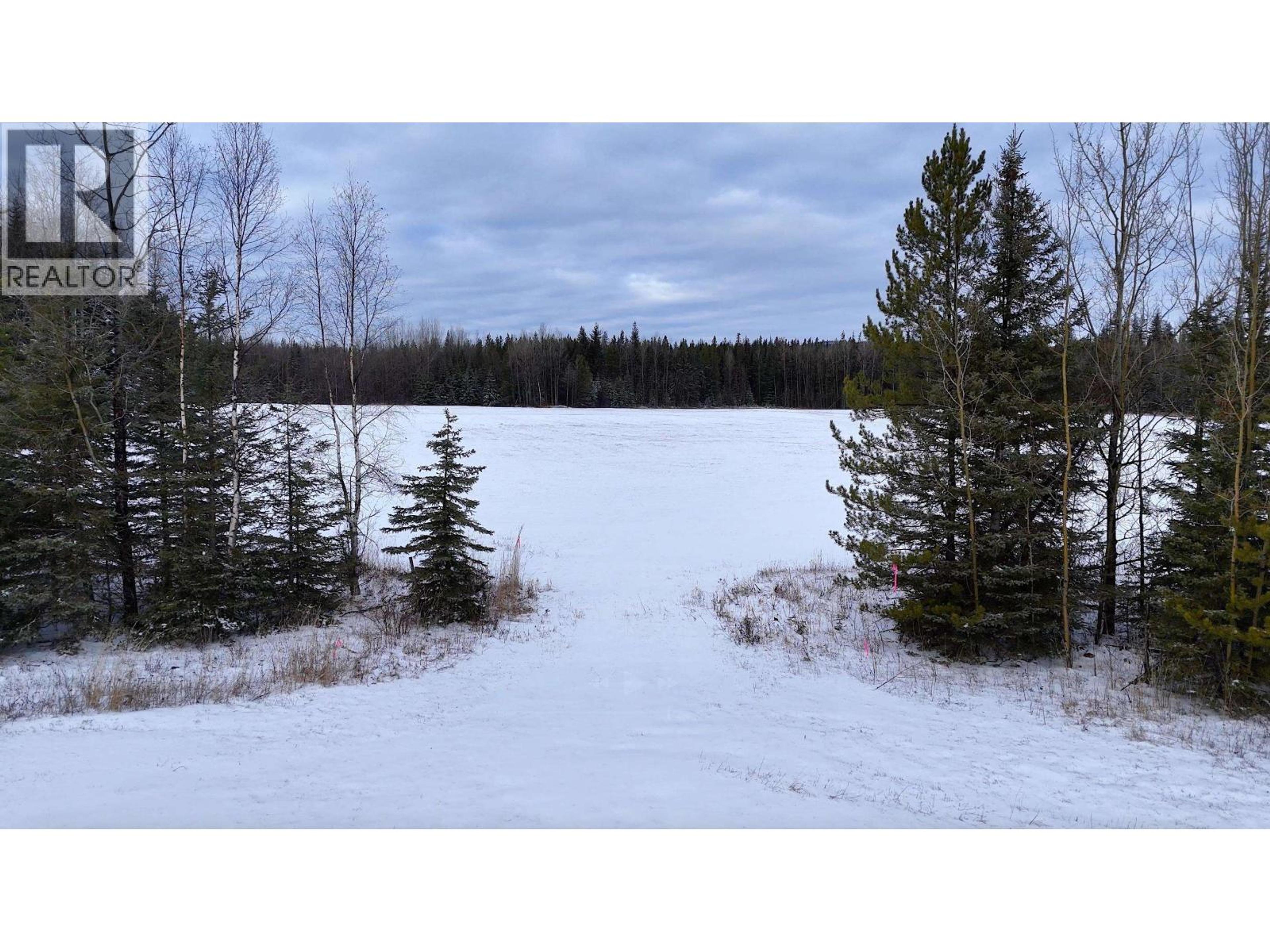 #DL 5559 S MCBRIDE TIMBER ROAD - 30