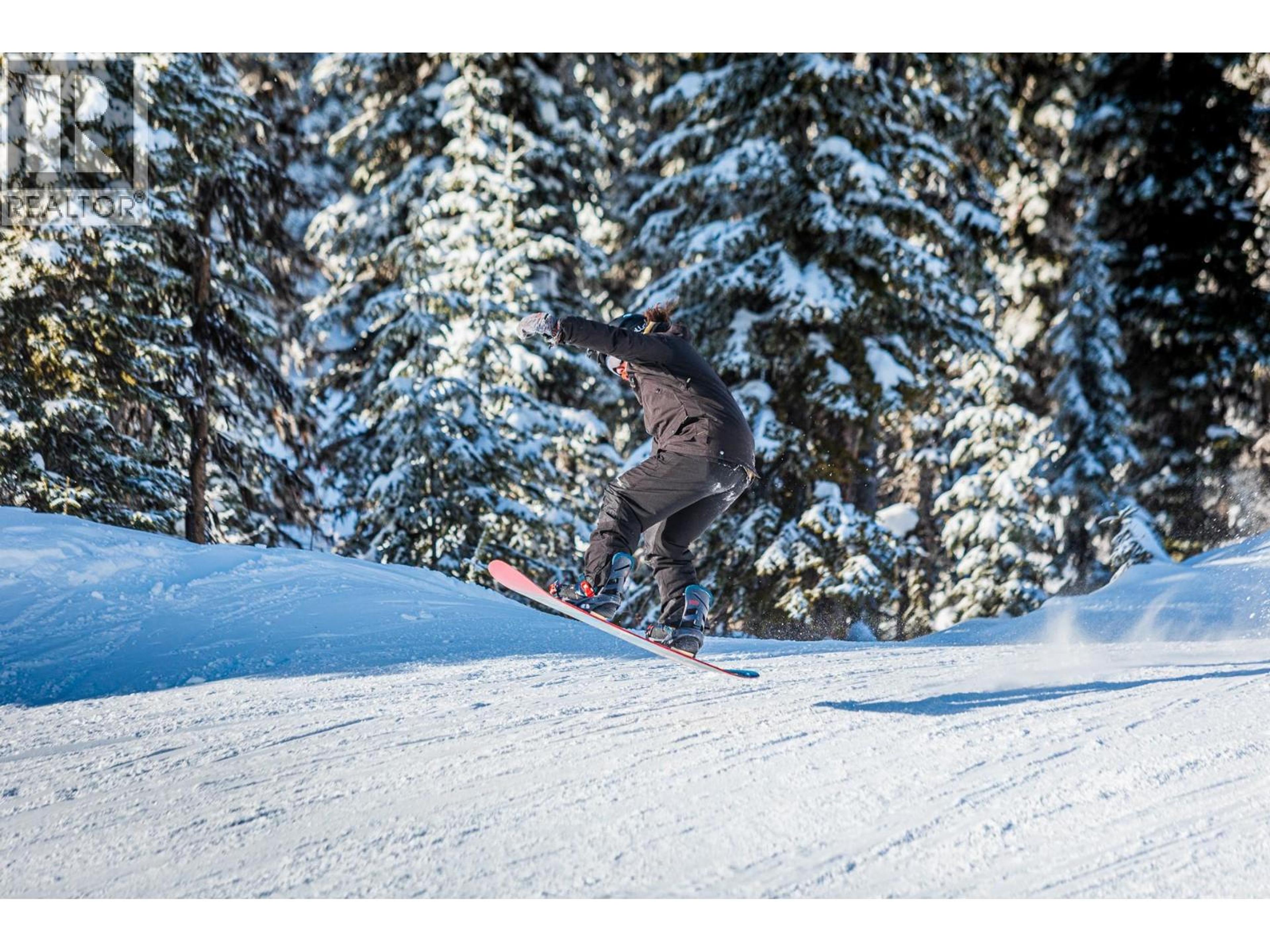 455 FEATHERTOP WAY - 12