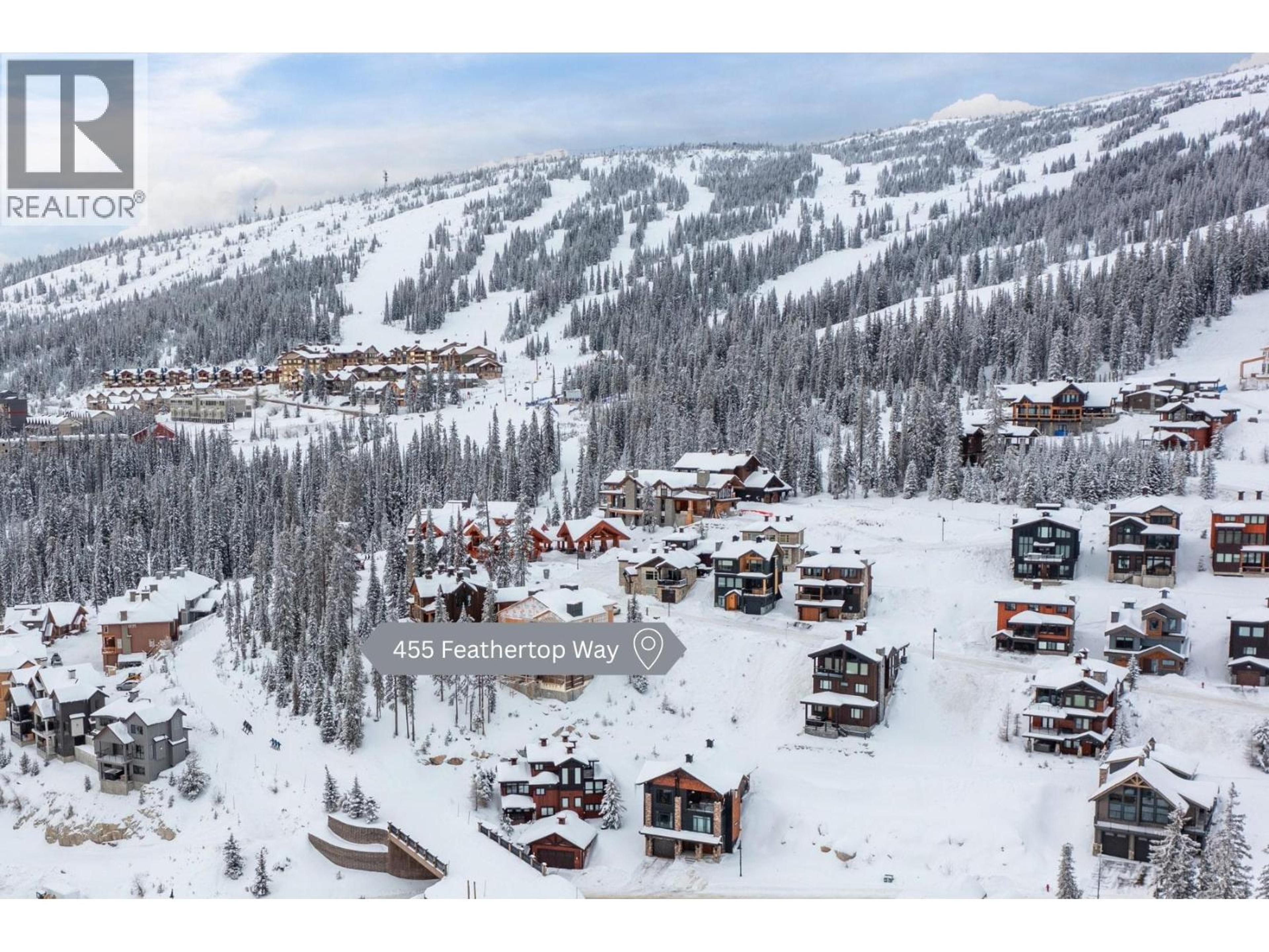 455 FEATHERTOP WAY - 4