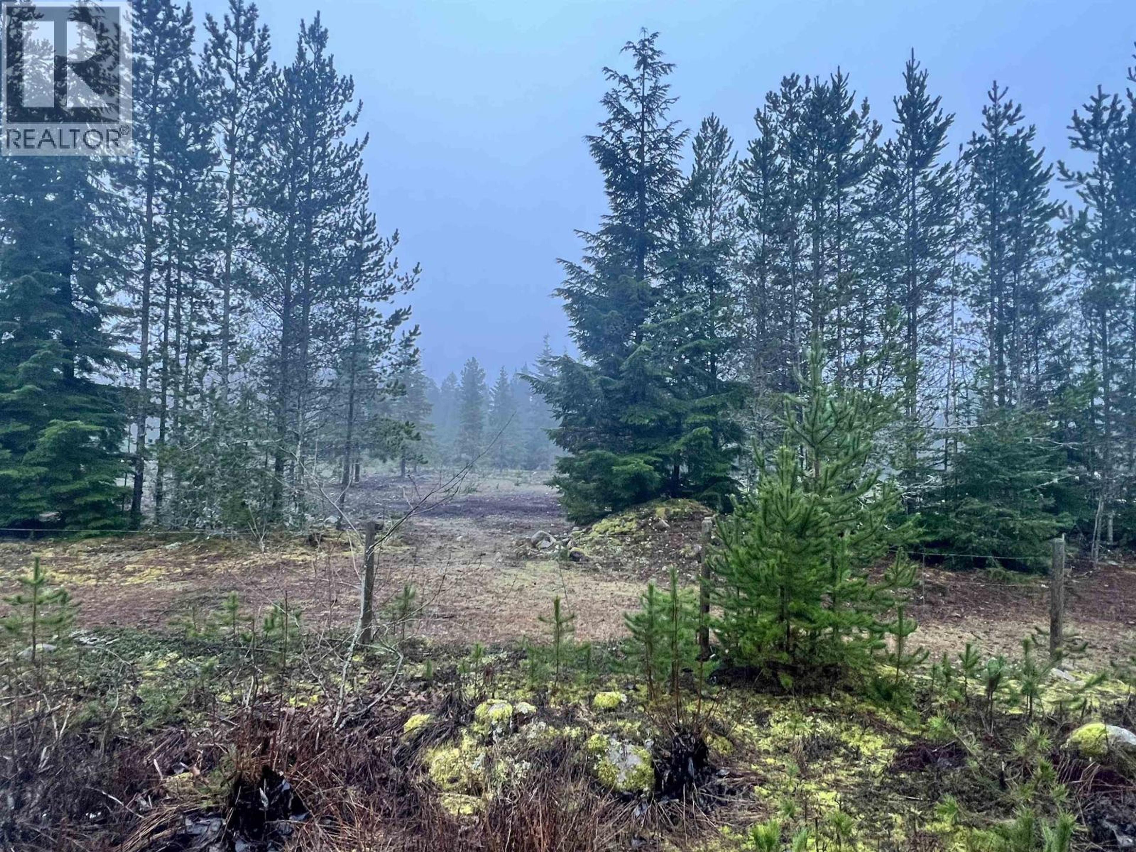 504 WILLIAMS CREEK ROAD - Image 5