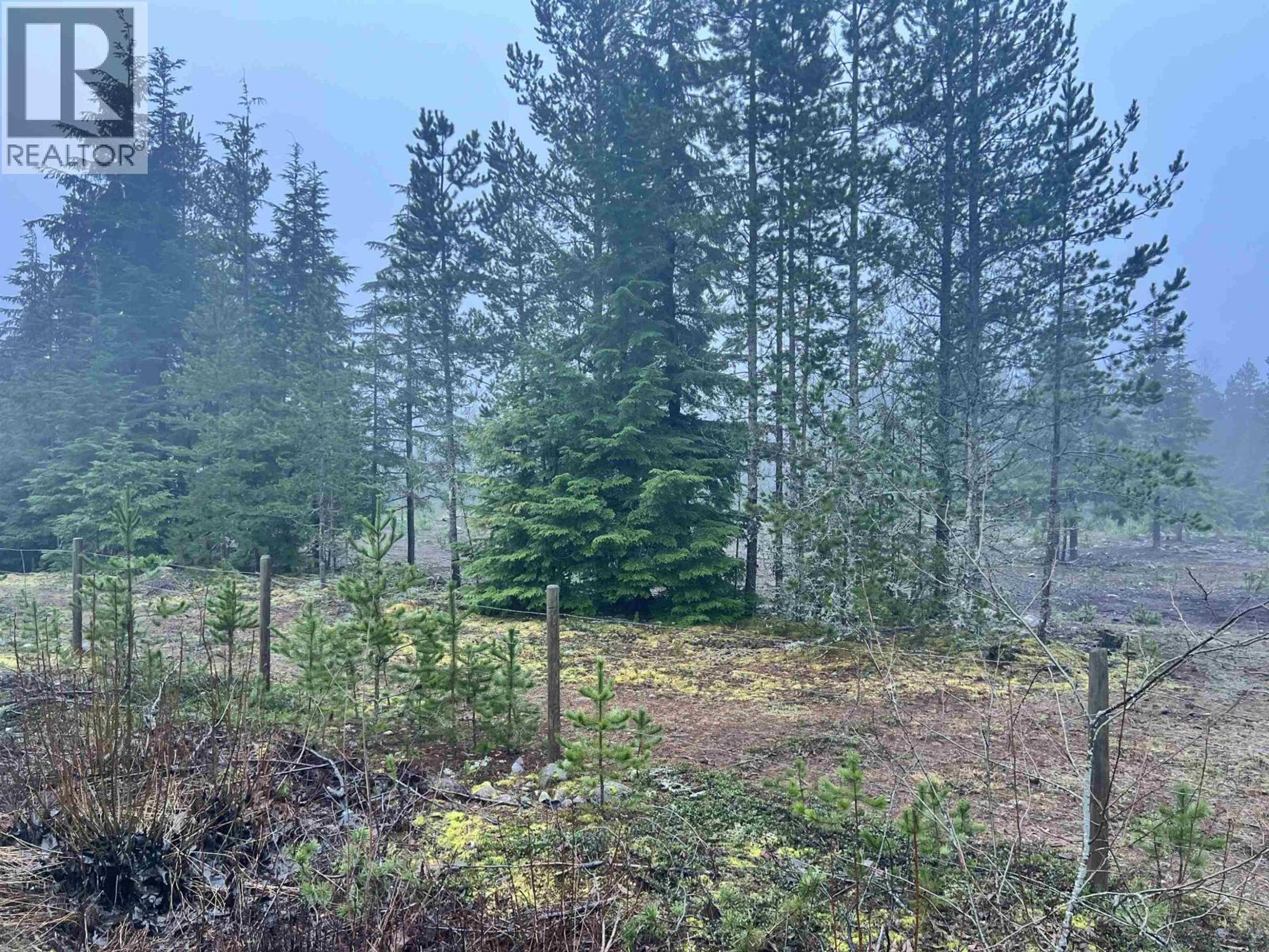 504 WILLIAMS CREEK ROAD - Image 4