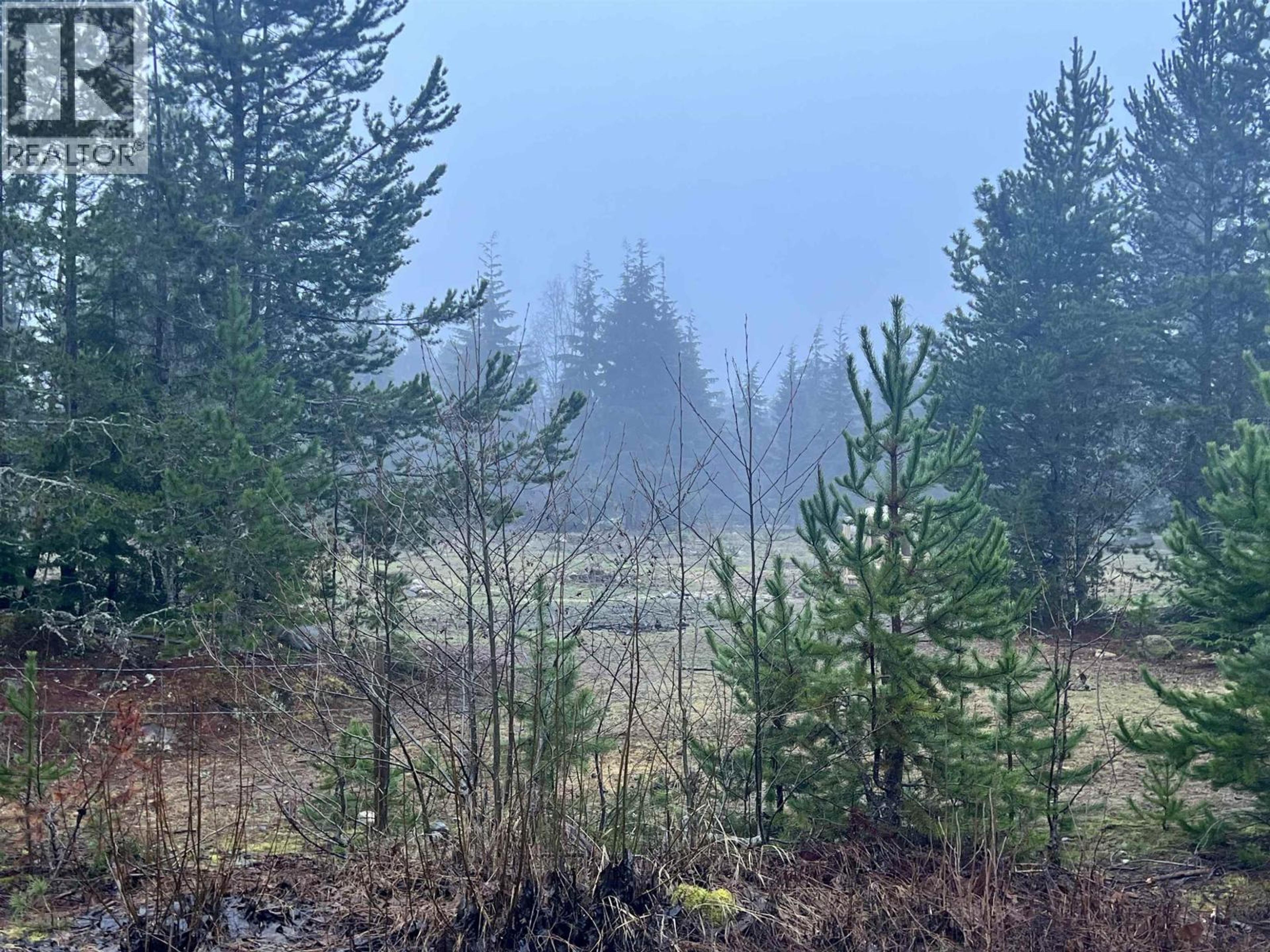 504 WILLIAMS CREEK ROAD - Image 2