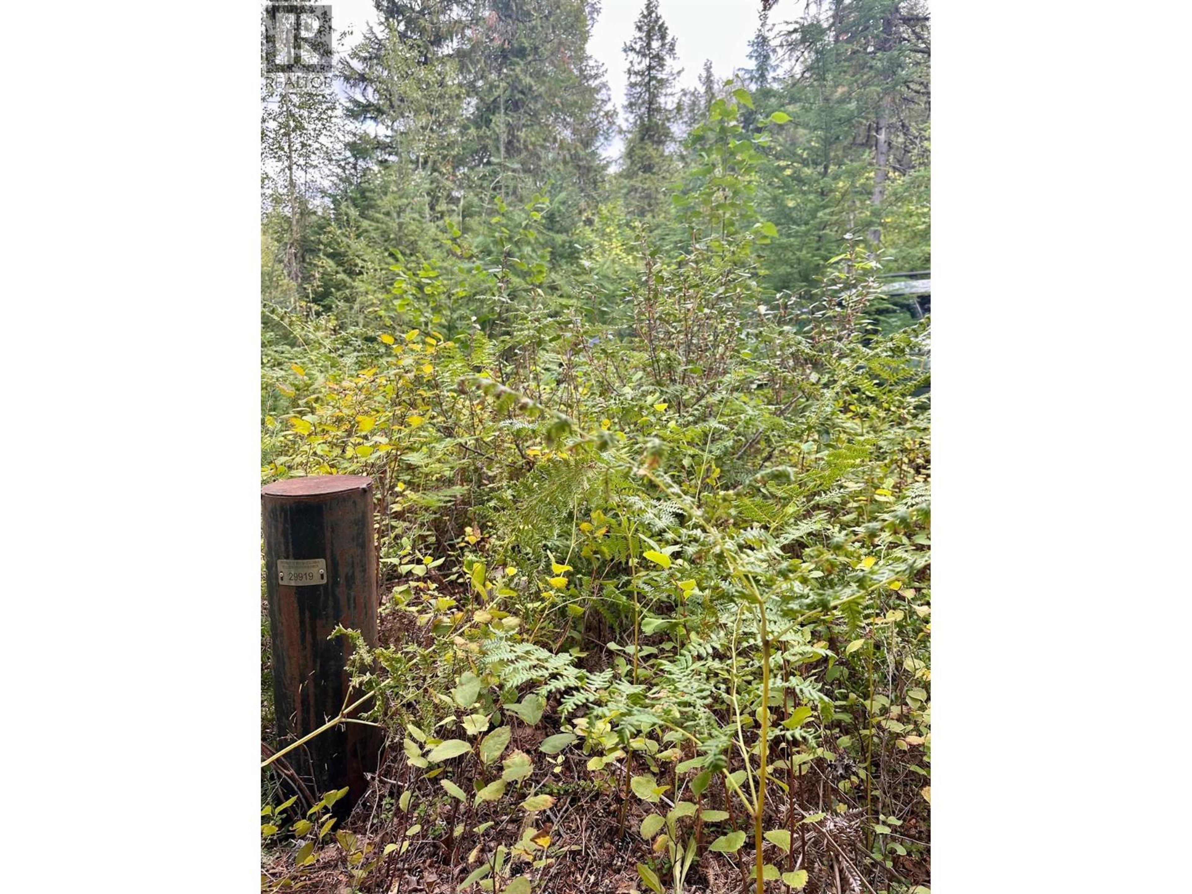 5105 3 HIGHWAY - Image 6