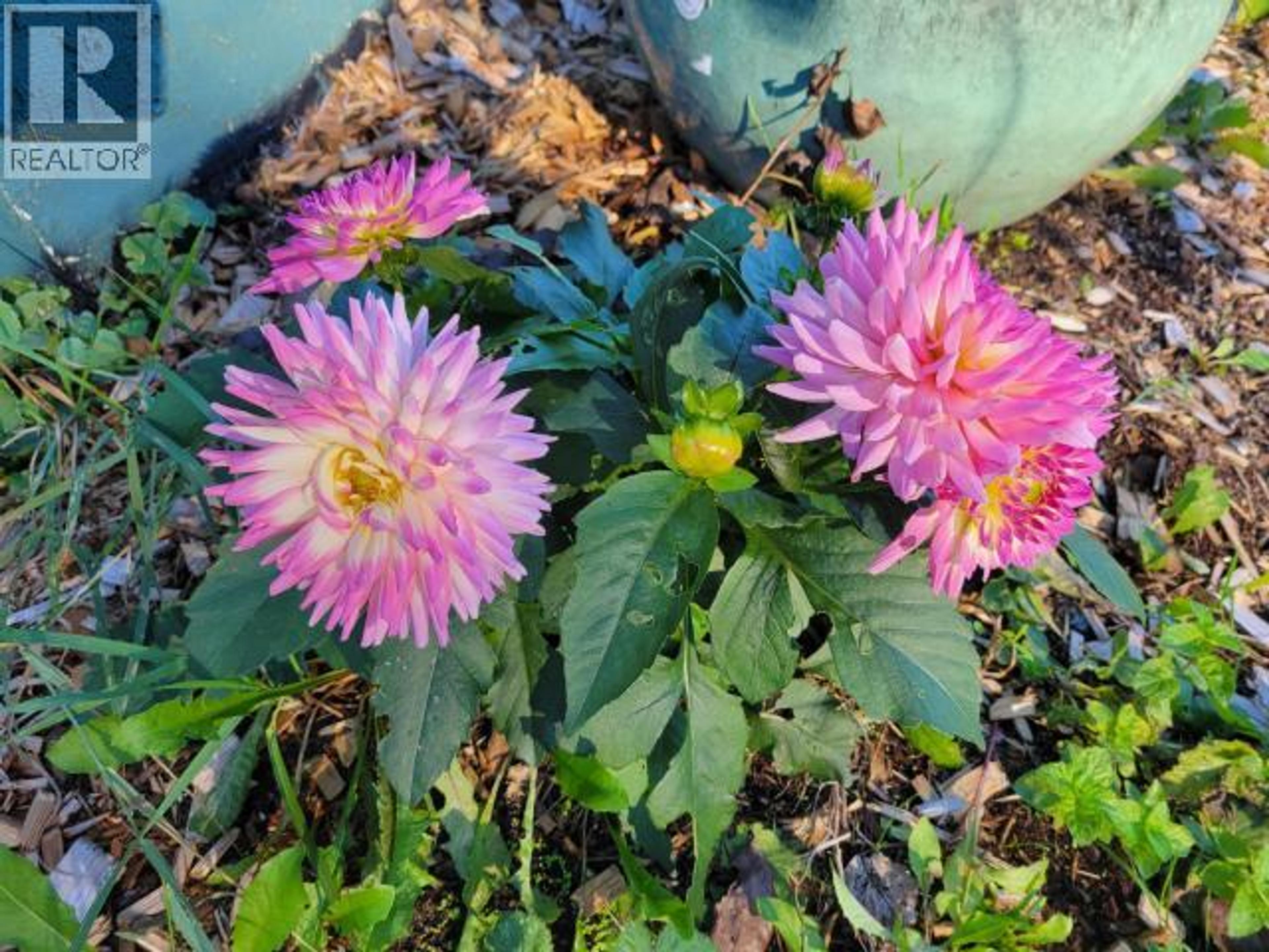 5875 FRASER STREET - 34