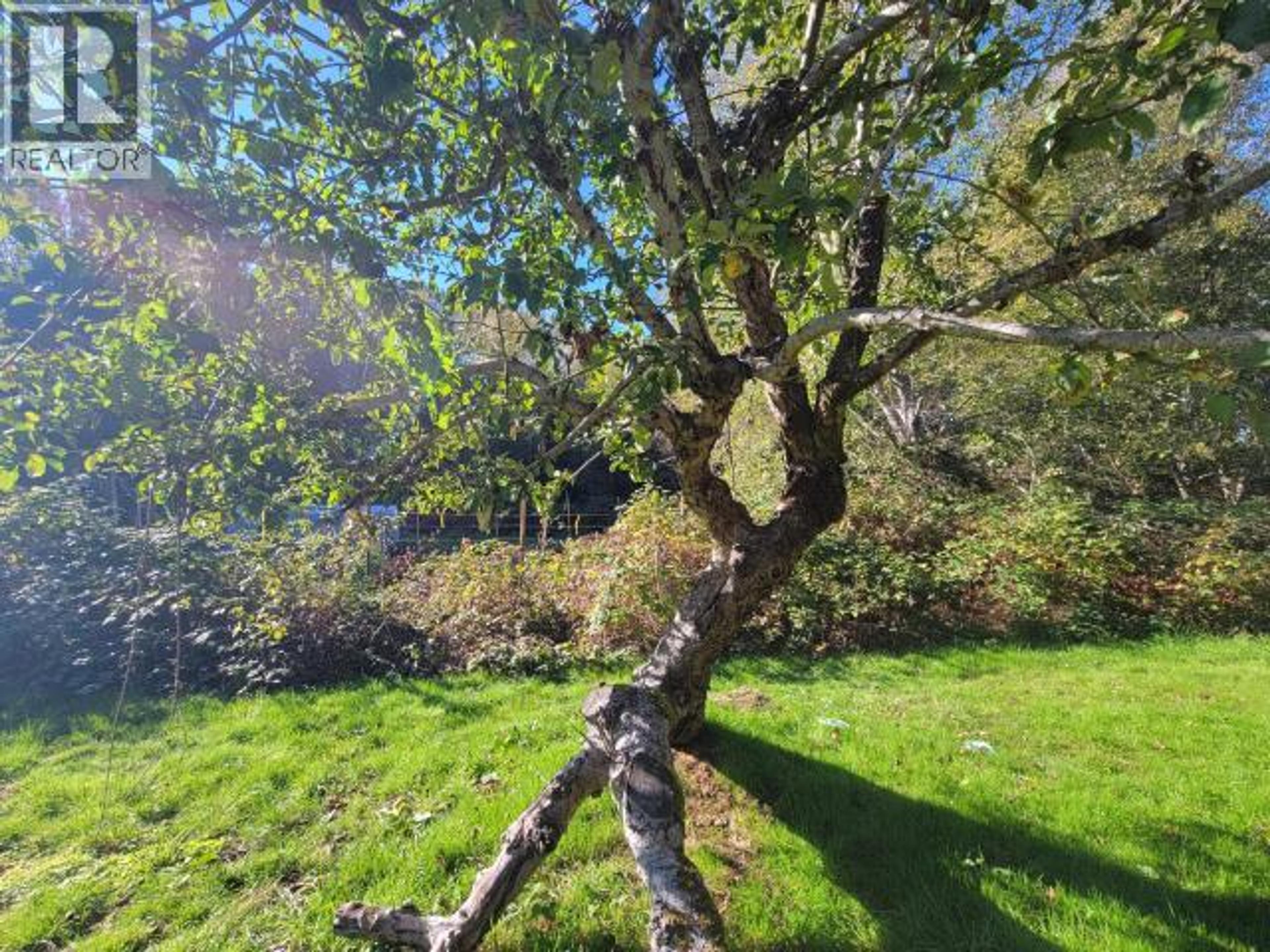 5875 FRASER STREET - 35