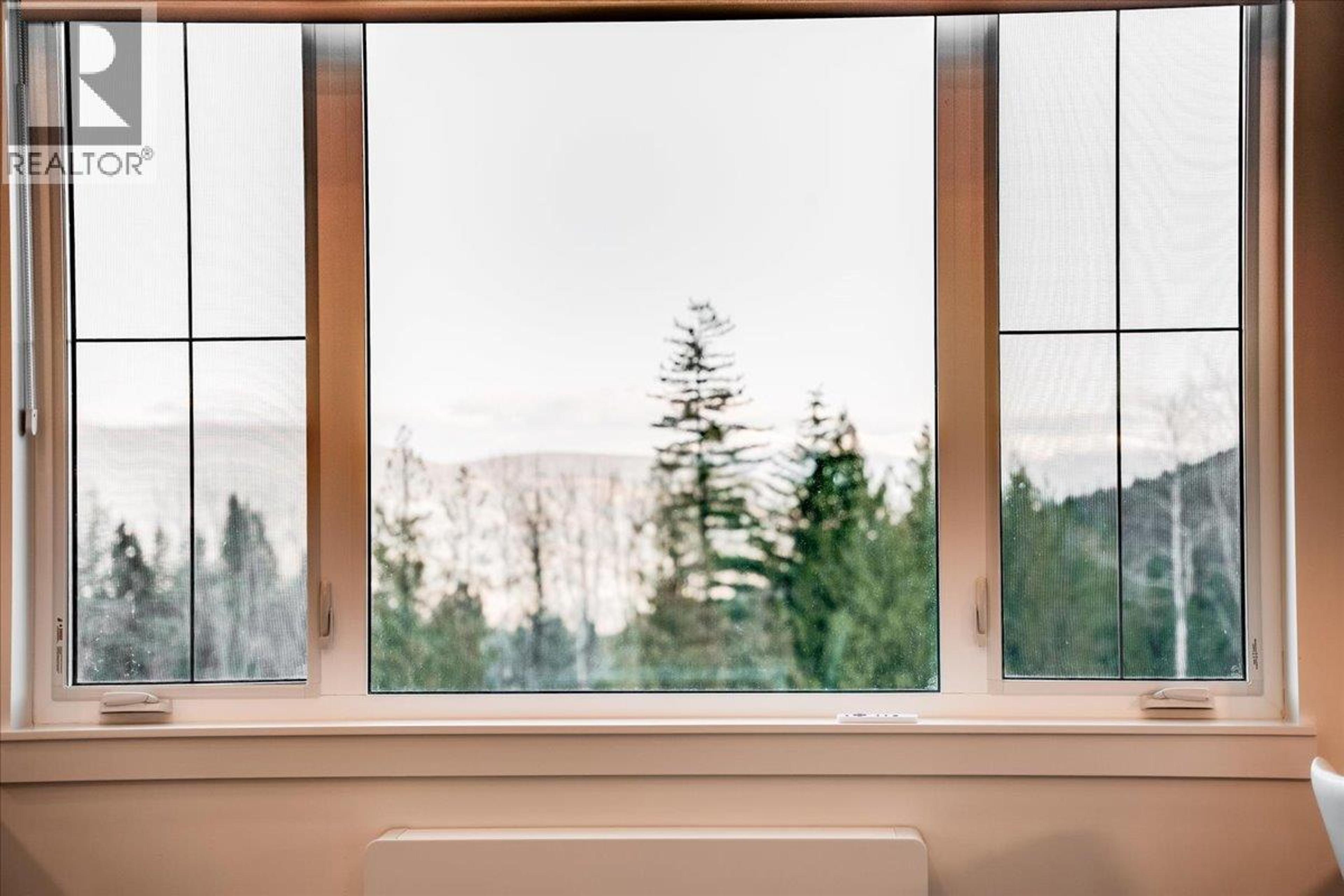 #417 4280 RED MOUNTAIN ROAD - 4