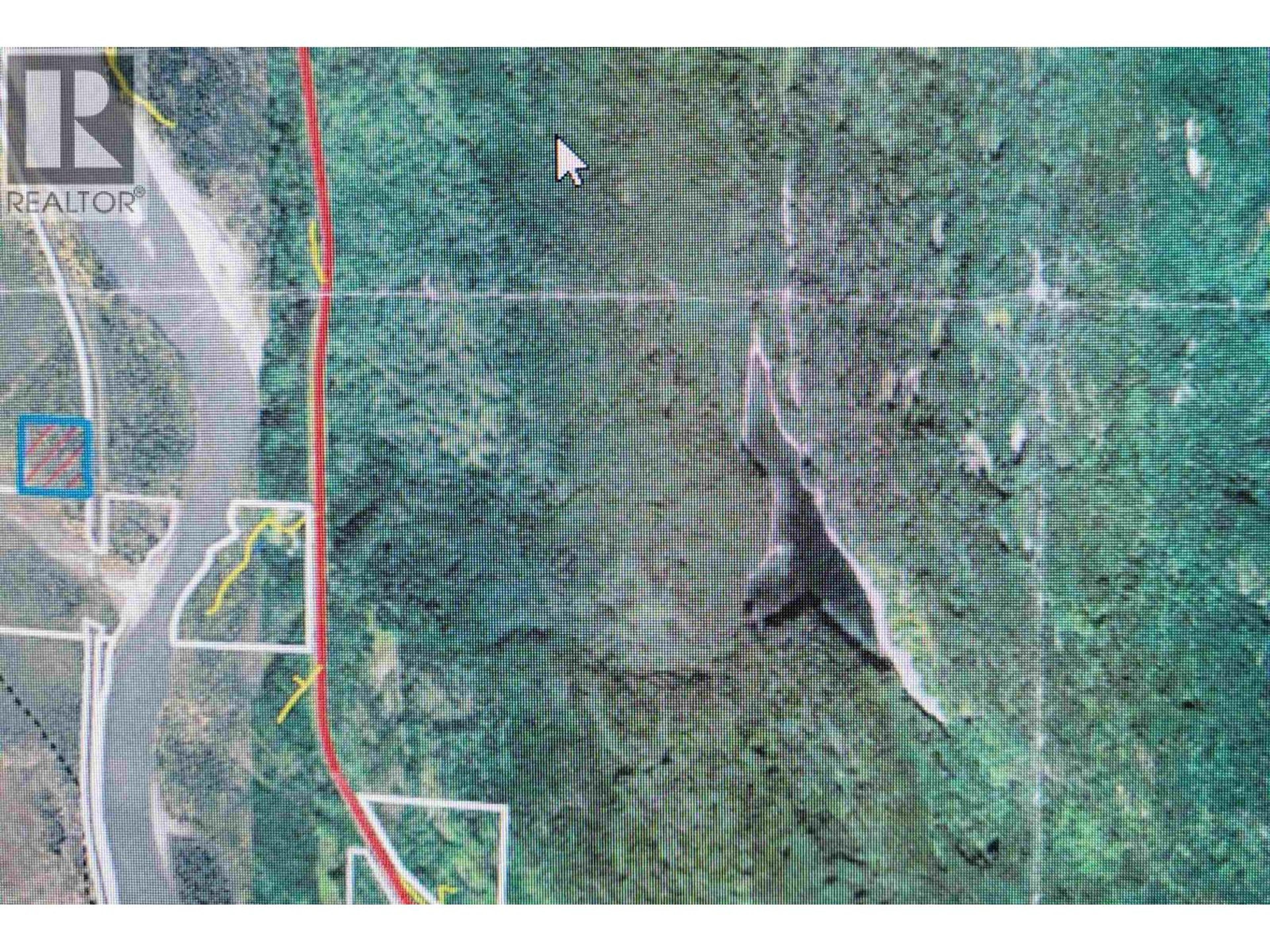 #DL 299 DORREEN - Image 1